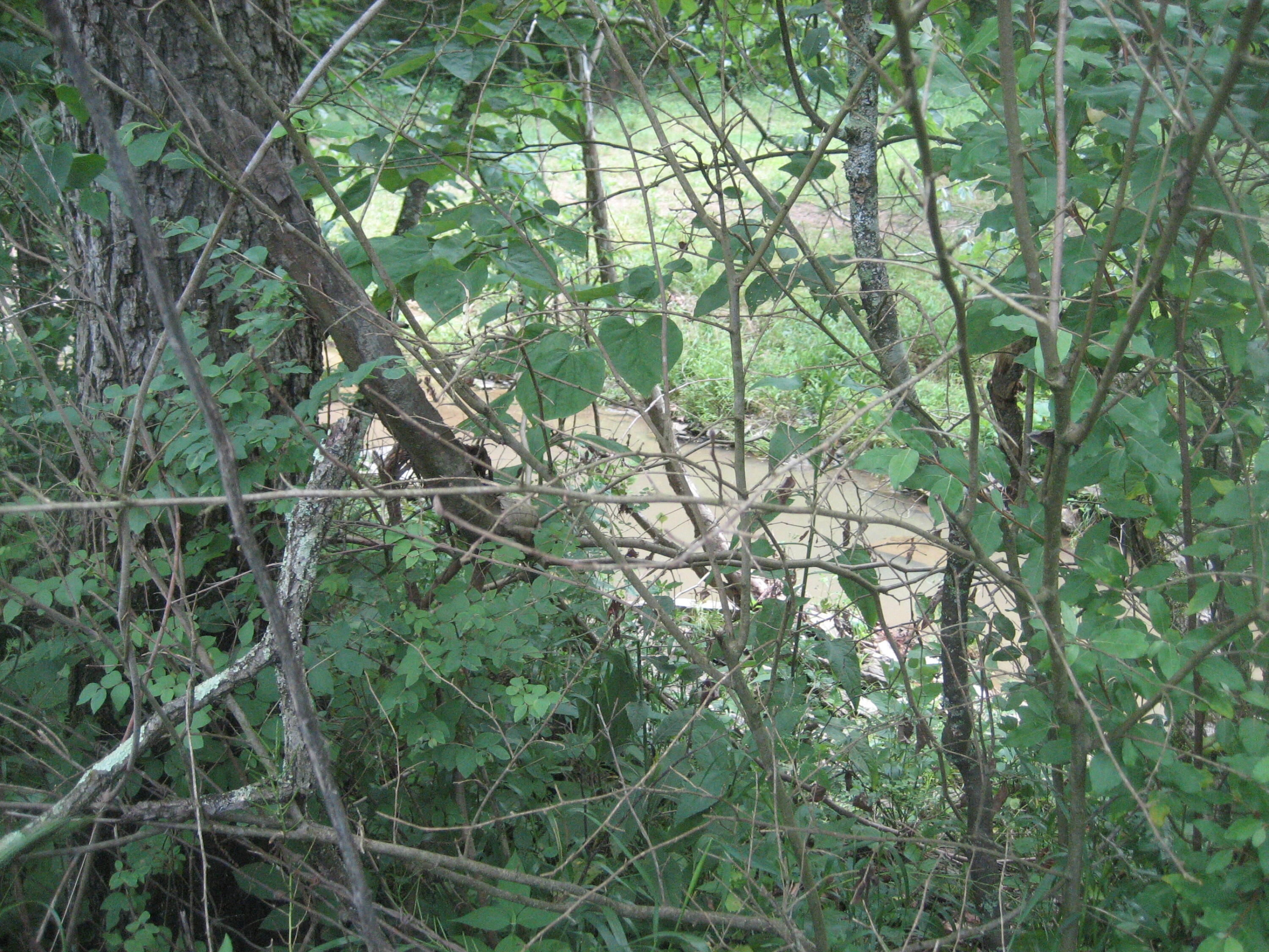 0000 Spider Road Property Photo 43