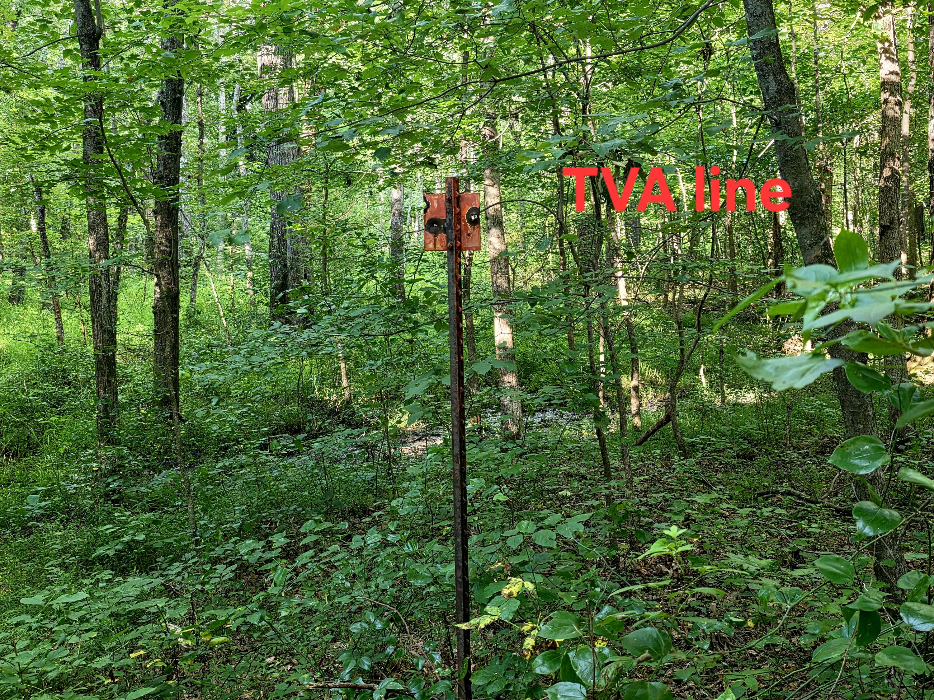 521 Cedar Knob Road Property Photo 3