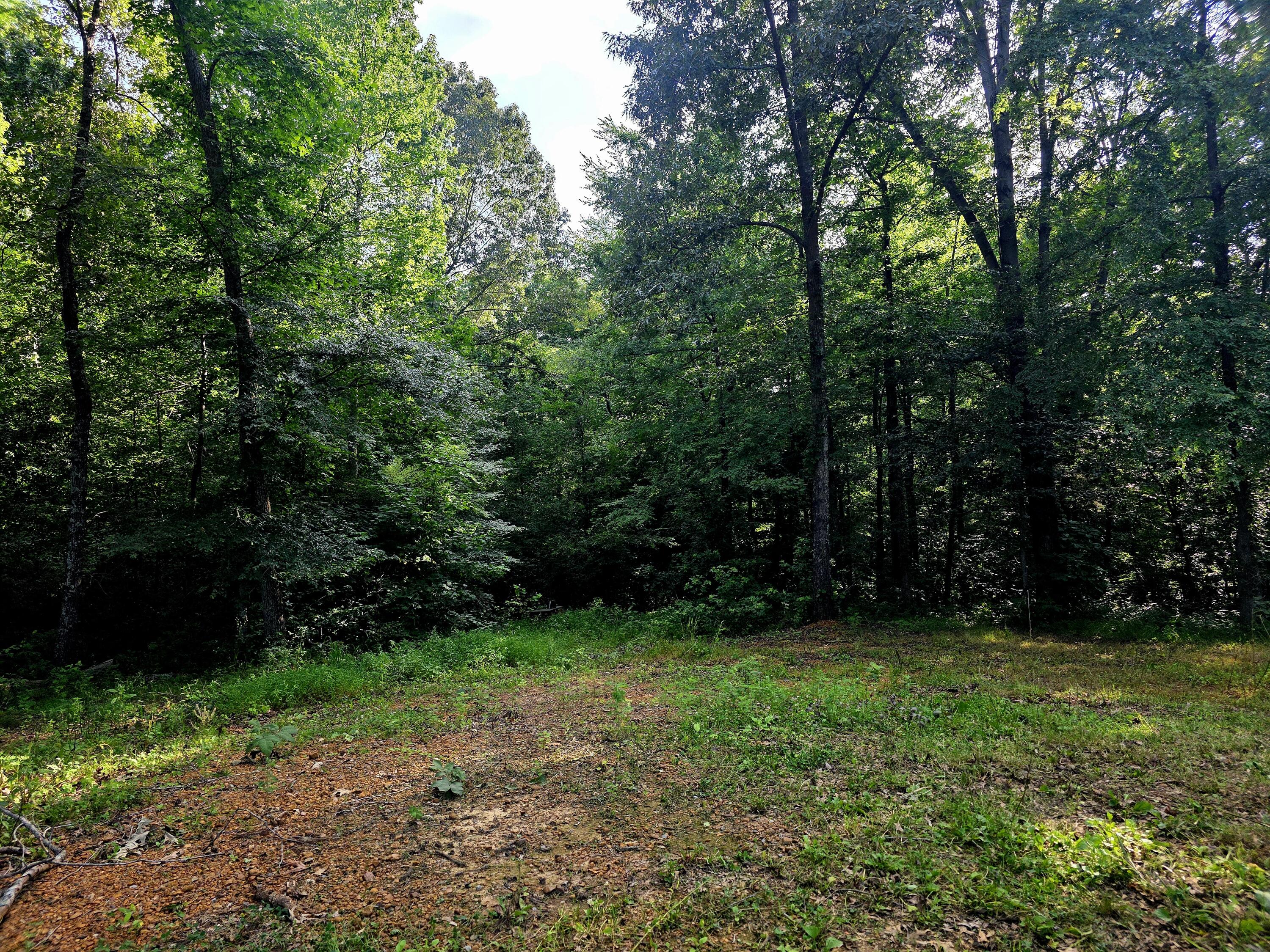 521 Cedar Knob Road Property Photo 5