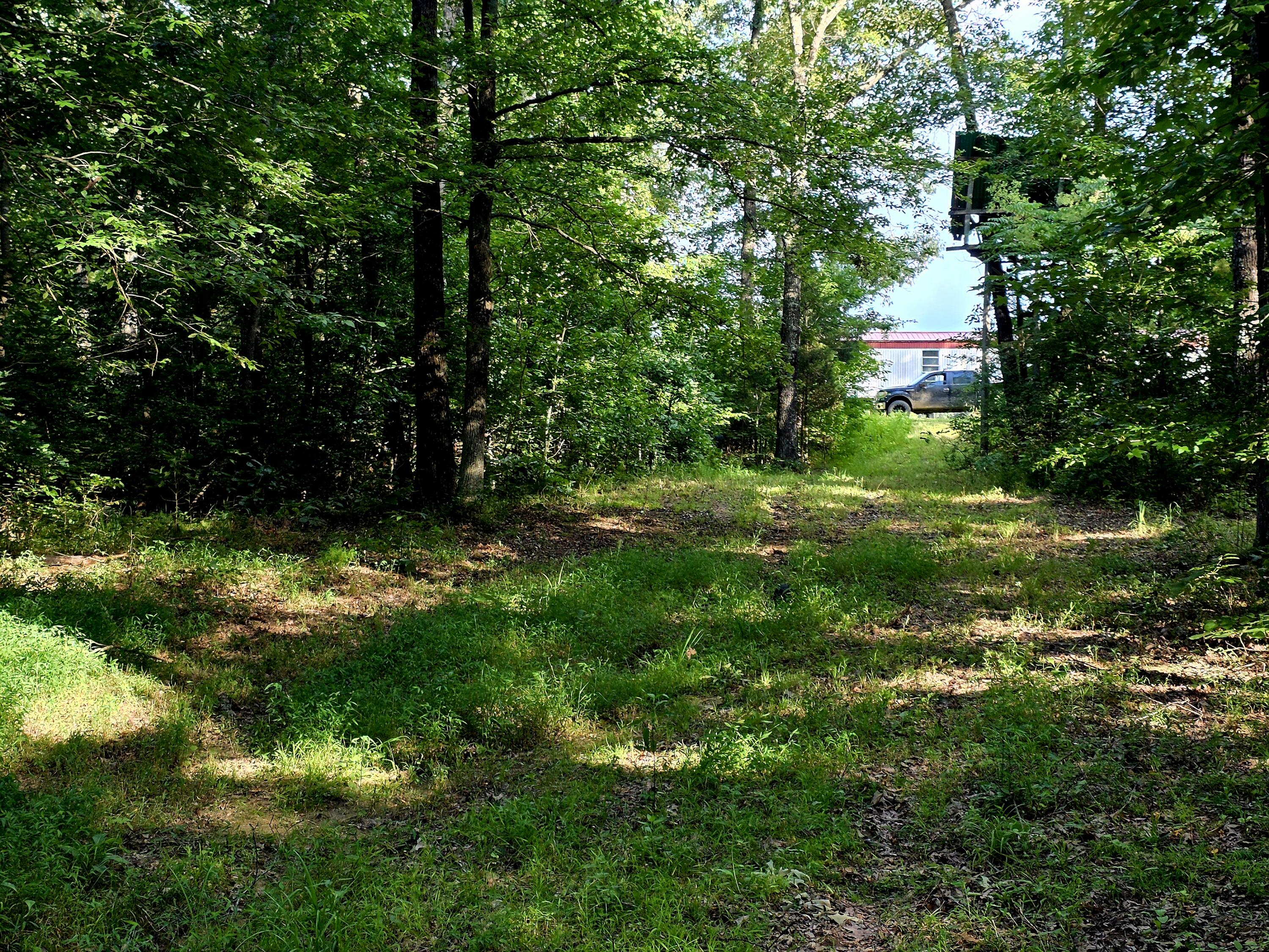 521 Cedar Knob Road Property Photo 9