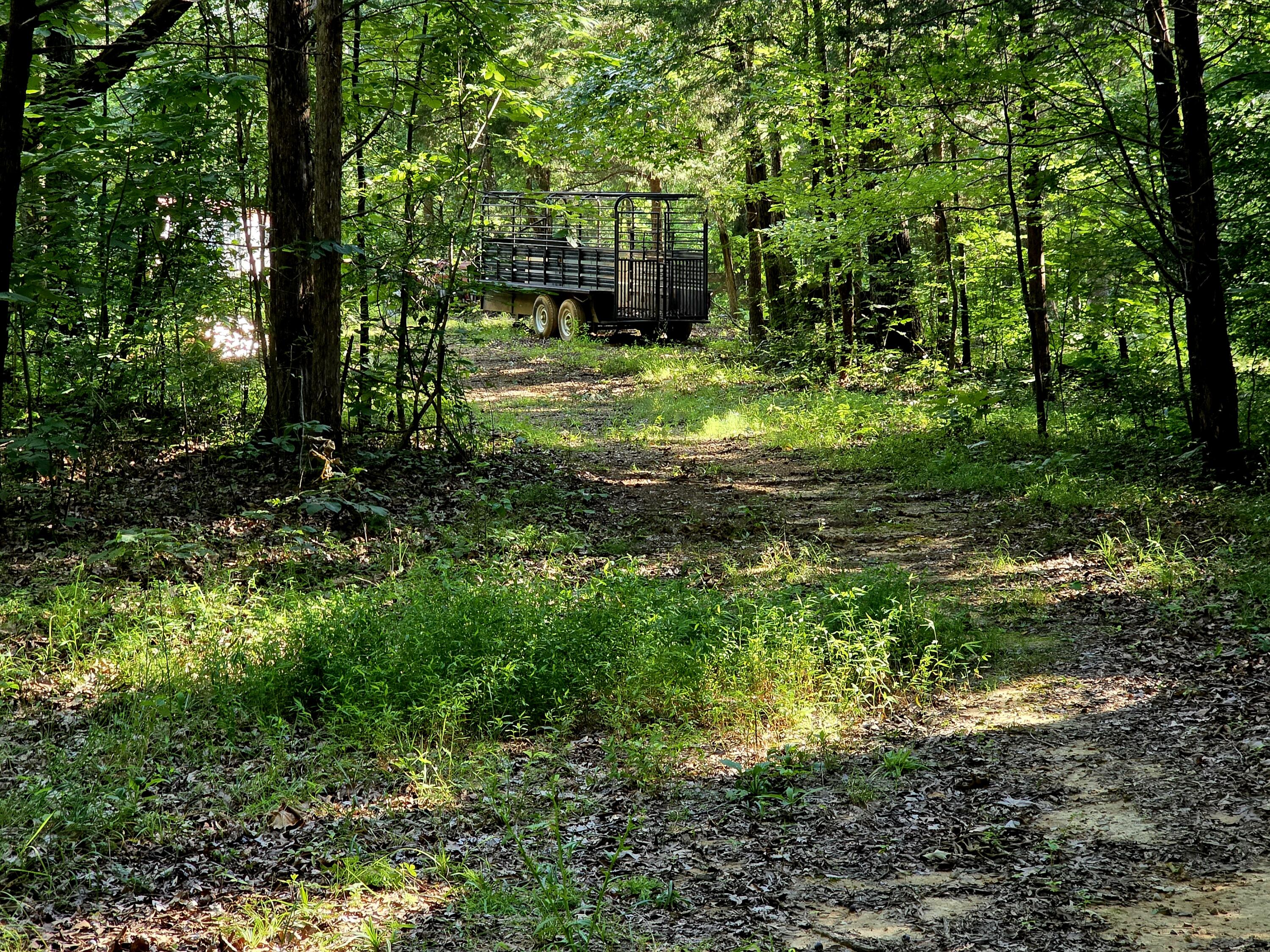 521 Cedar Knob Road Property Photo 10