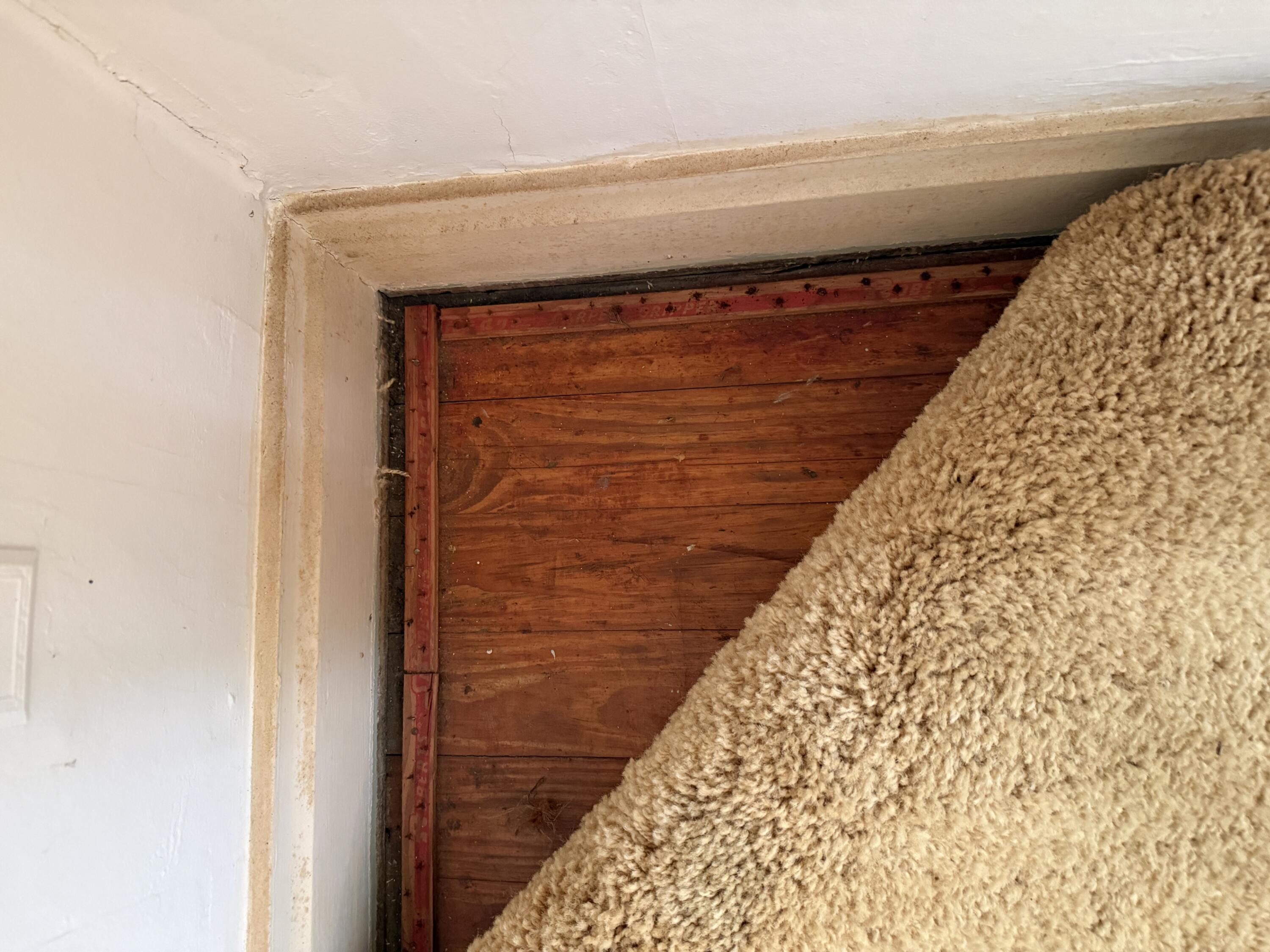 860 Darley Drive Property Photo 14