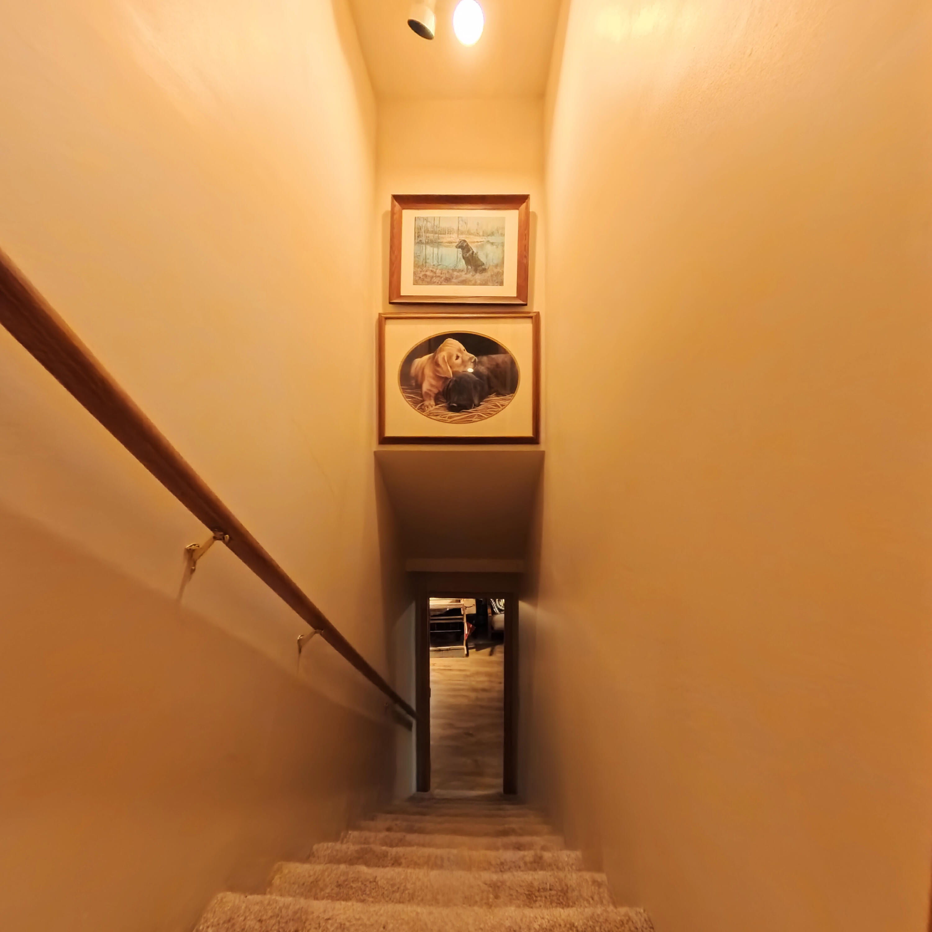 975 Red River Road Property Photo 24