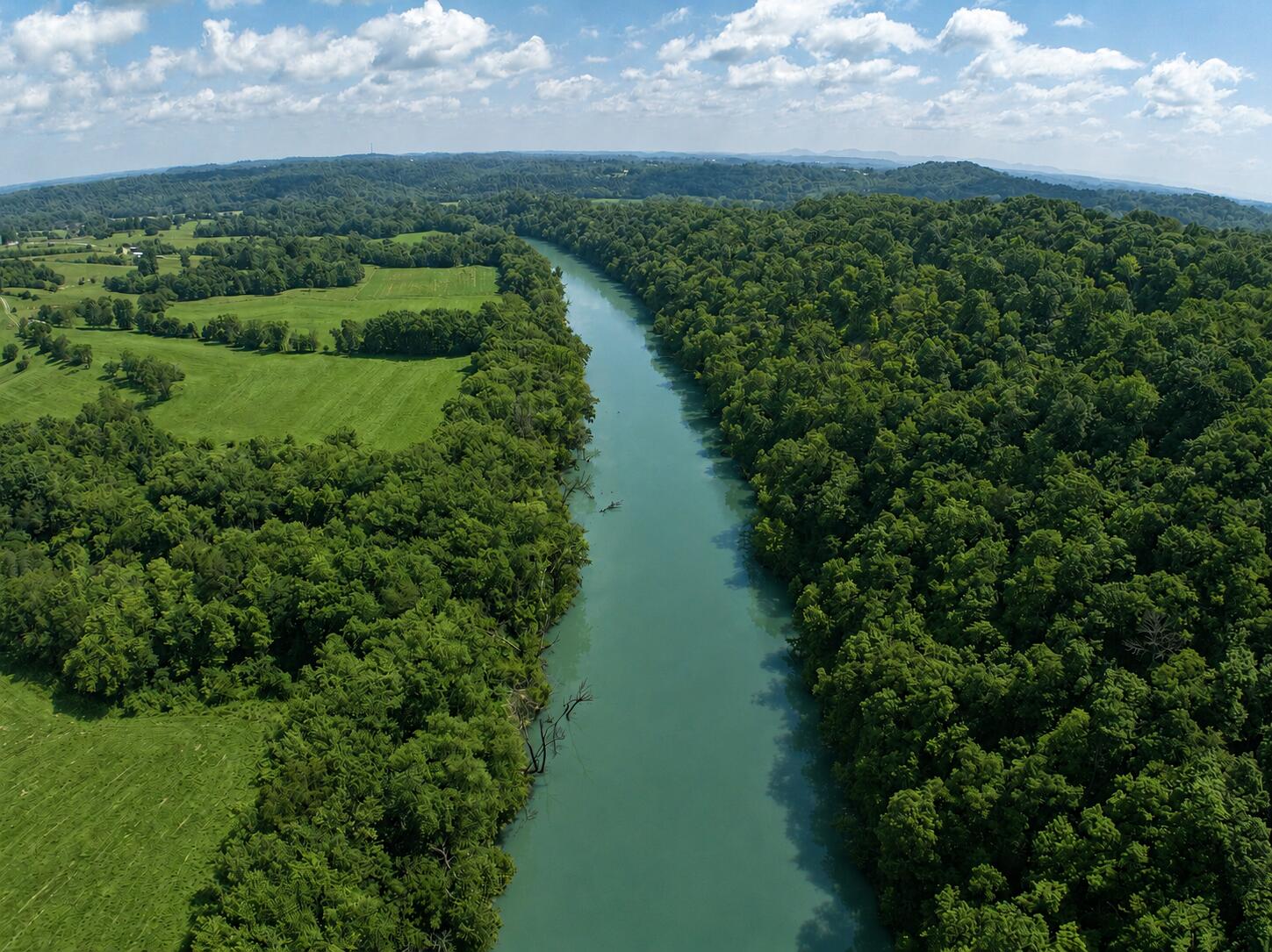 975 Red River Road Property Photo 59