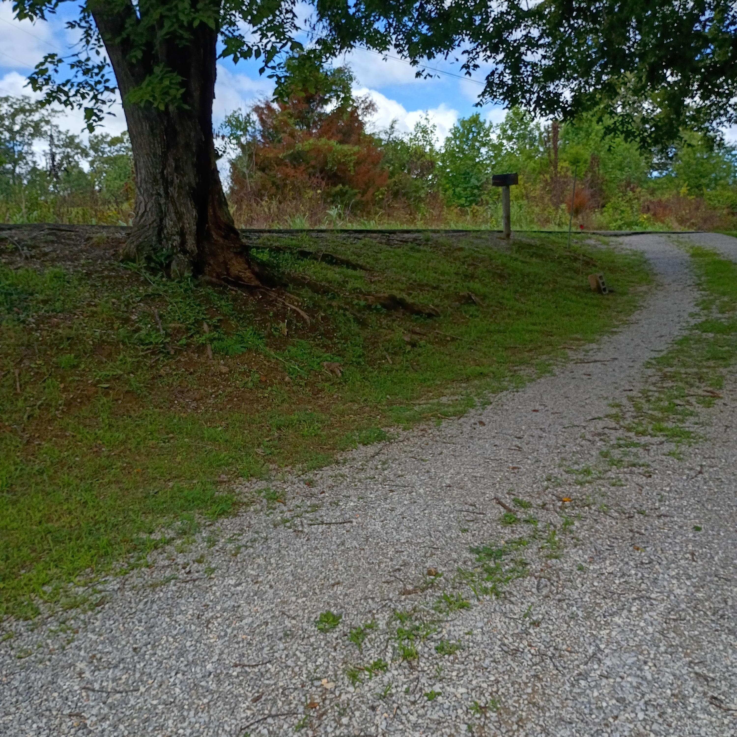 183 183 Shoemaker Ln Lane Property Photo 22