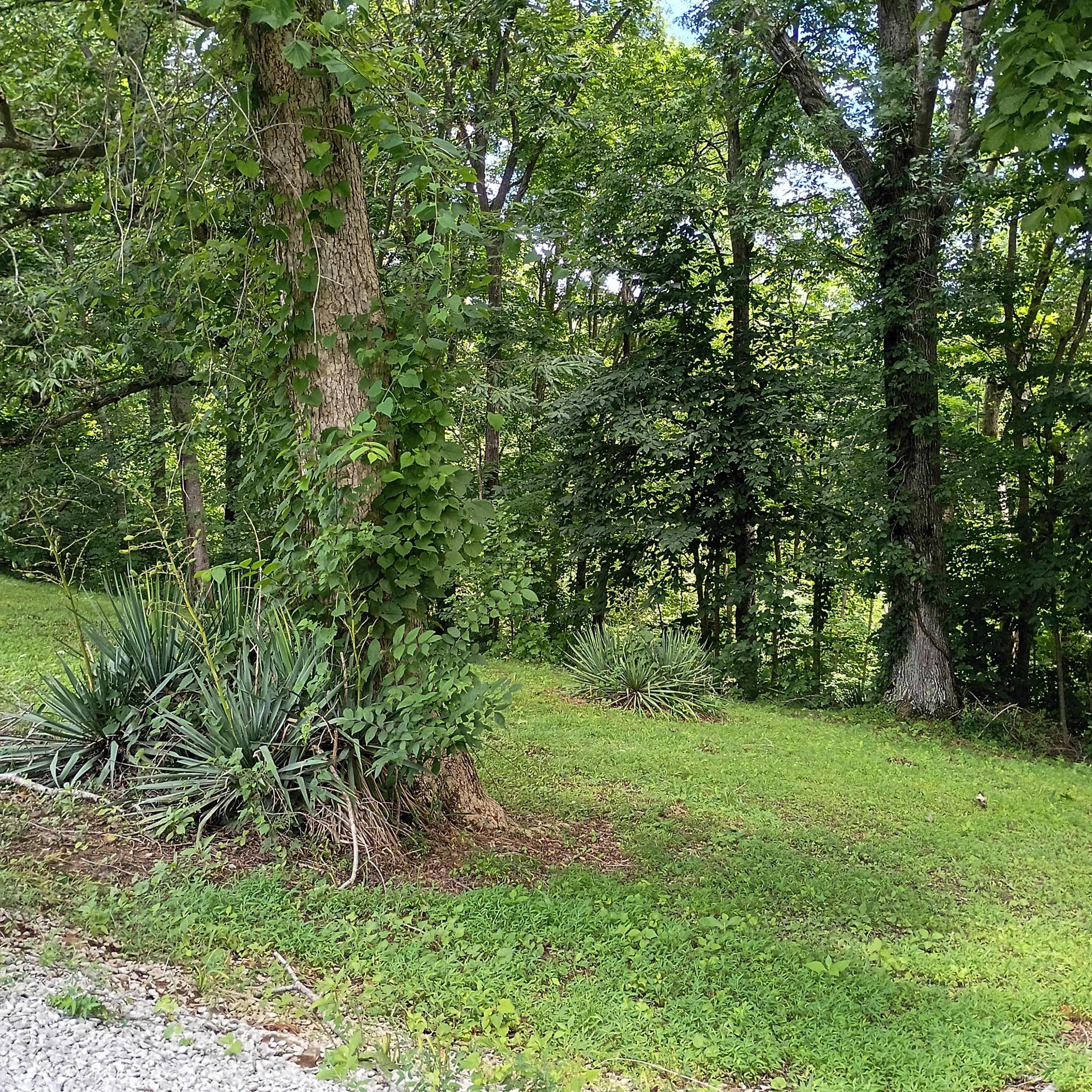 183 183 Shoemaker Ln Lane Property Photo 24