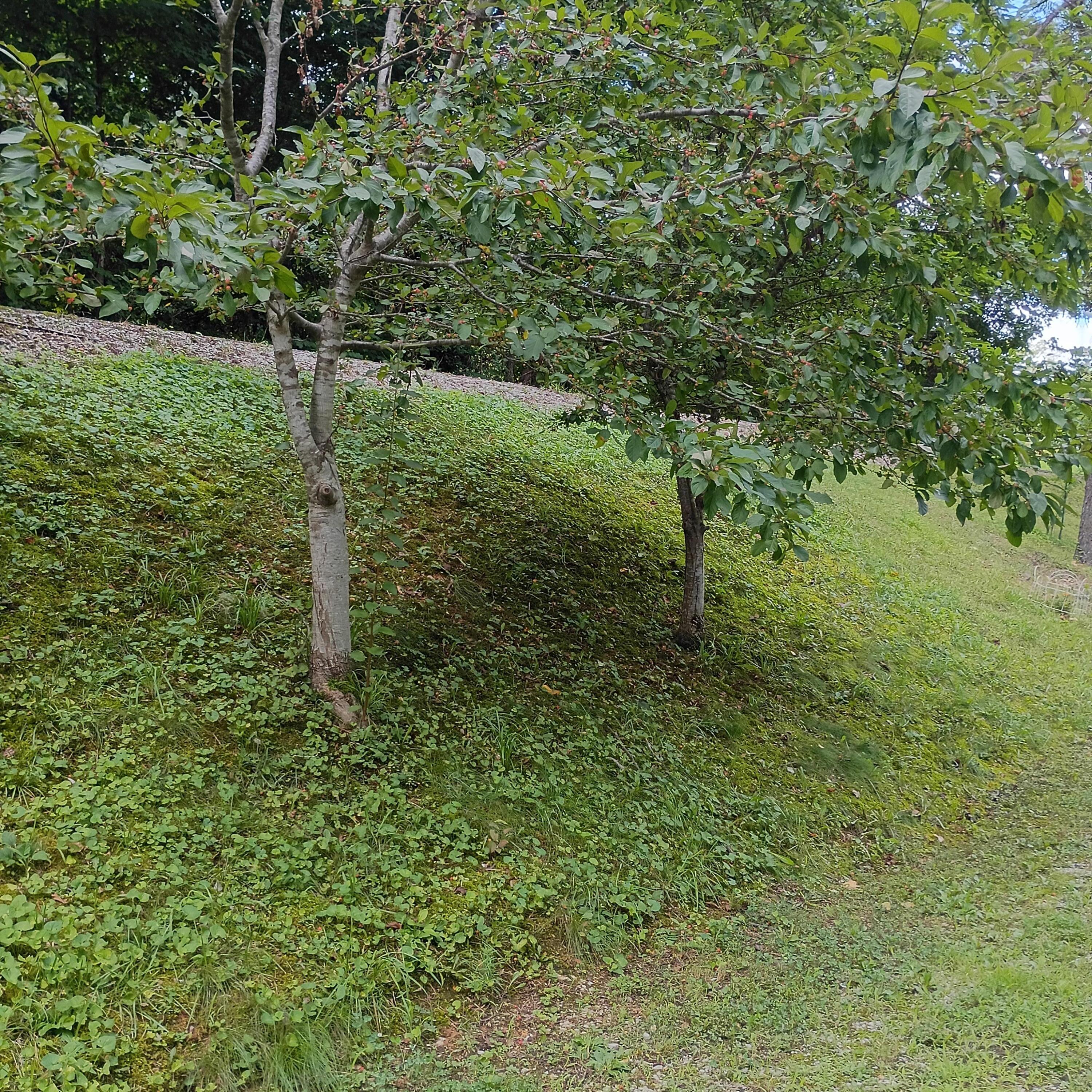 183 183 Shoemaker Ln Lane Property Photo 28