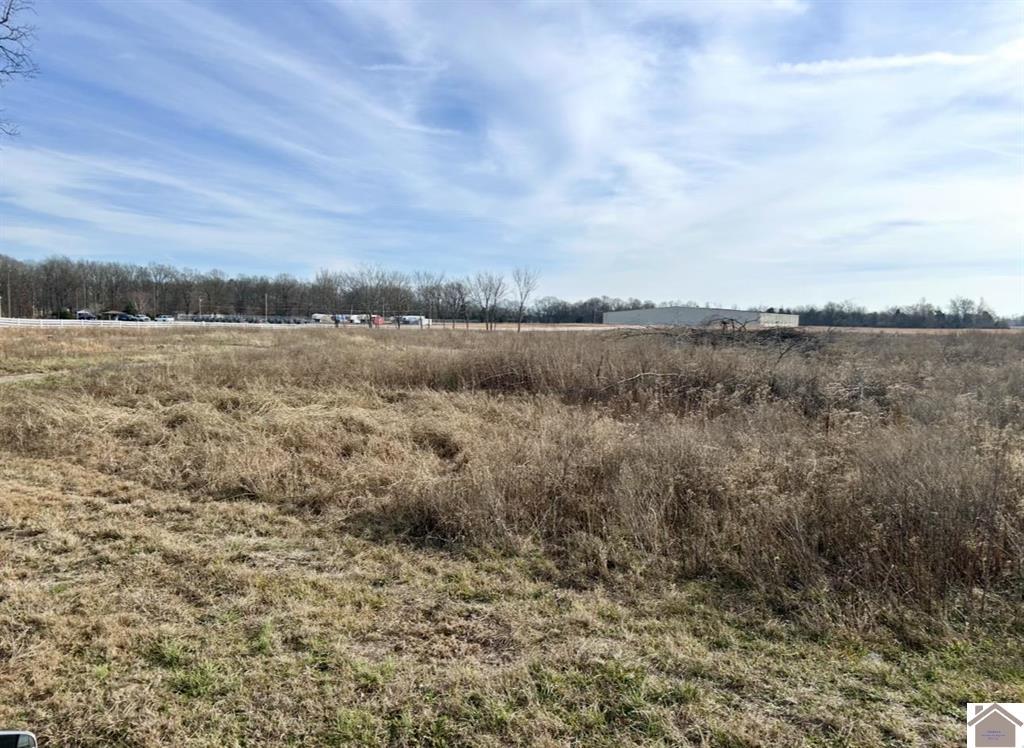 1715 Church Grove Road Property Photo 4