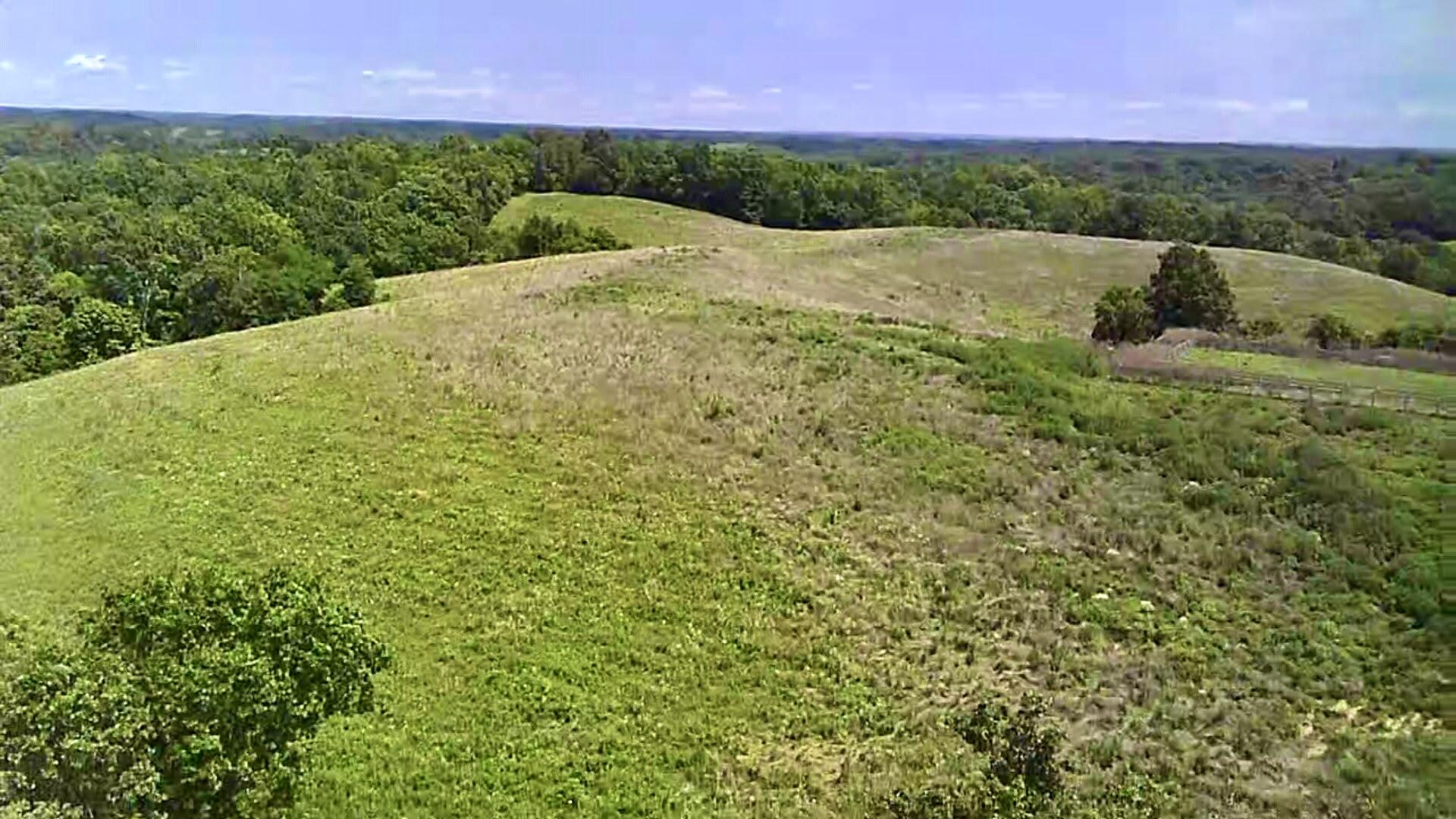 1502 Cane Run Road Property Photo 33