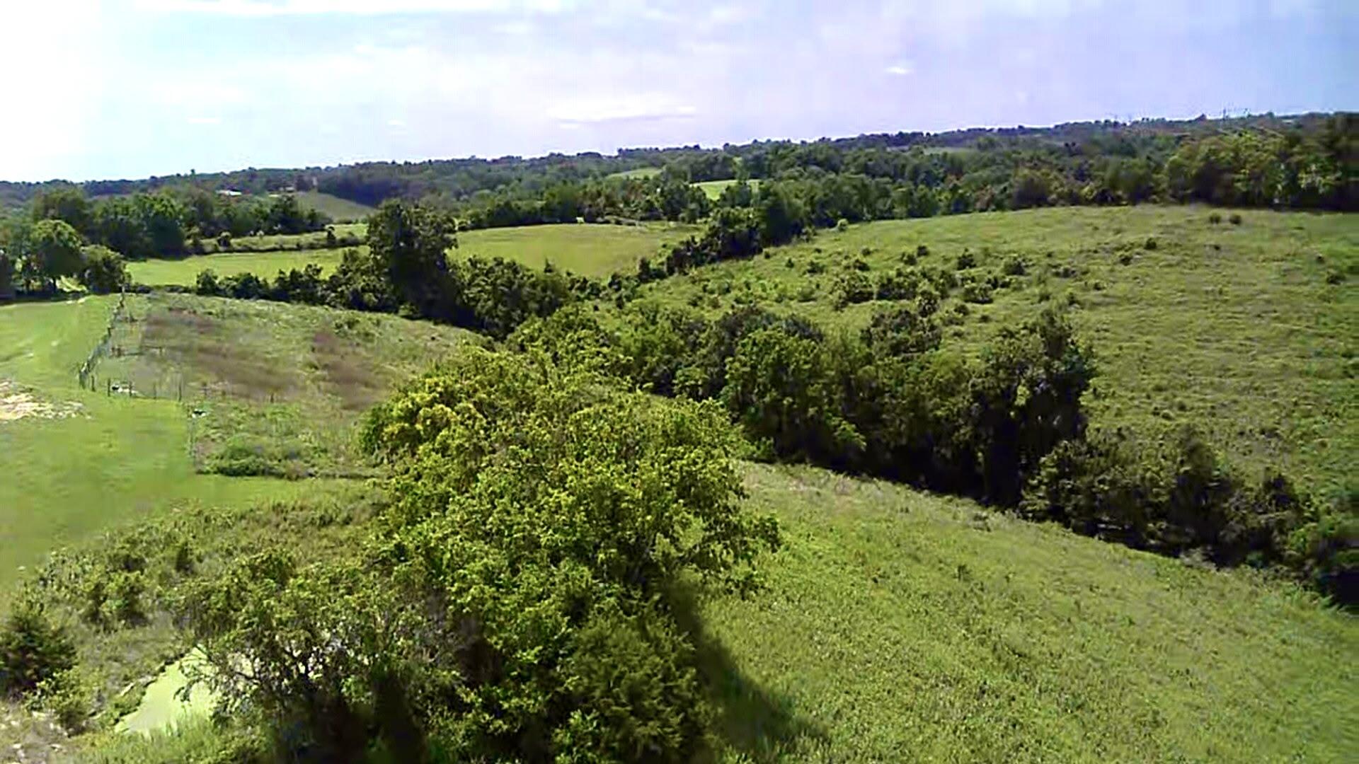 1502 Cane Run Road Property Photo 37