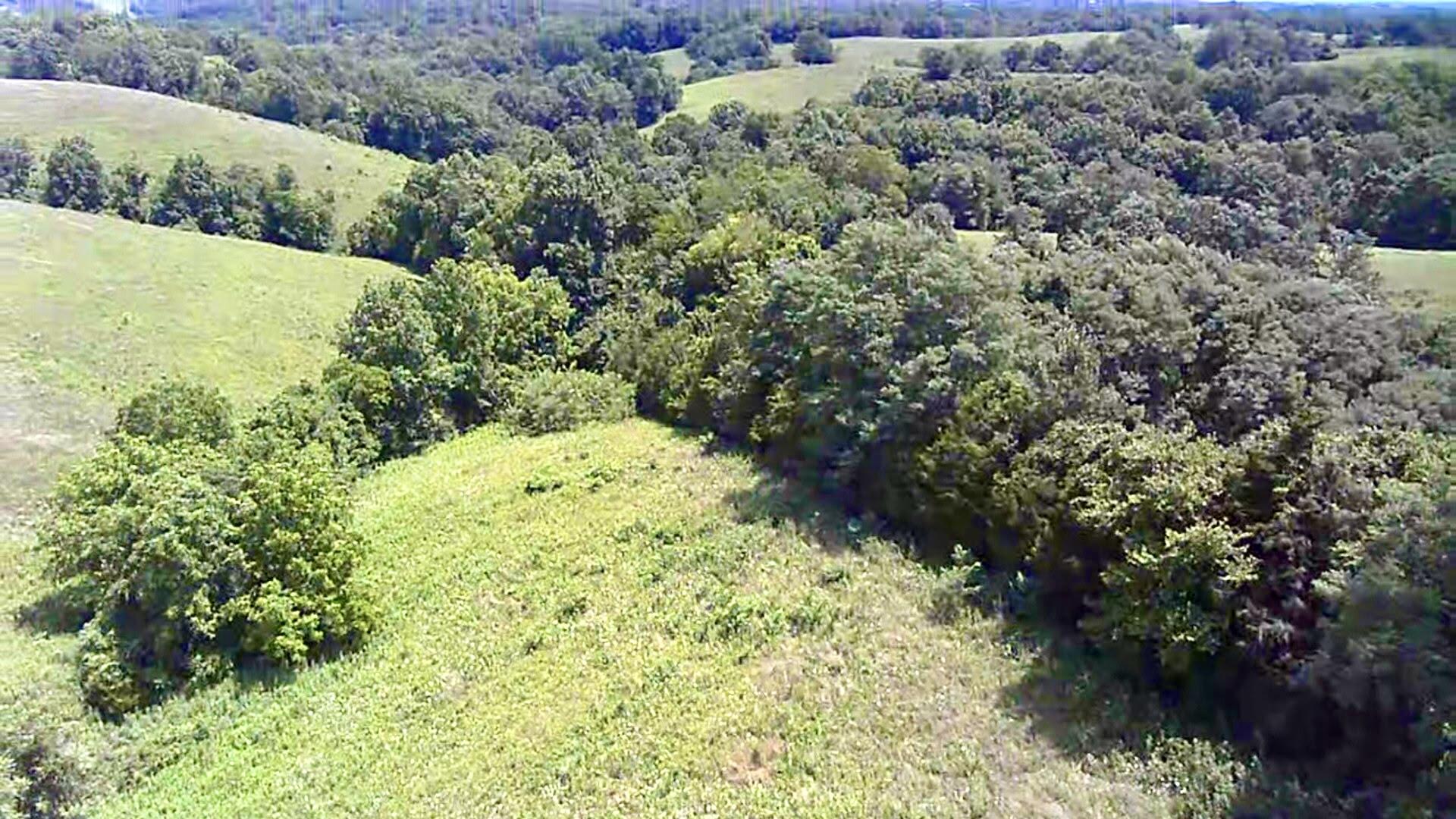 1502 Cane Run Road Property Photo 39