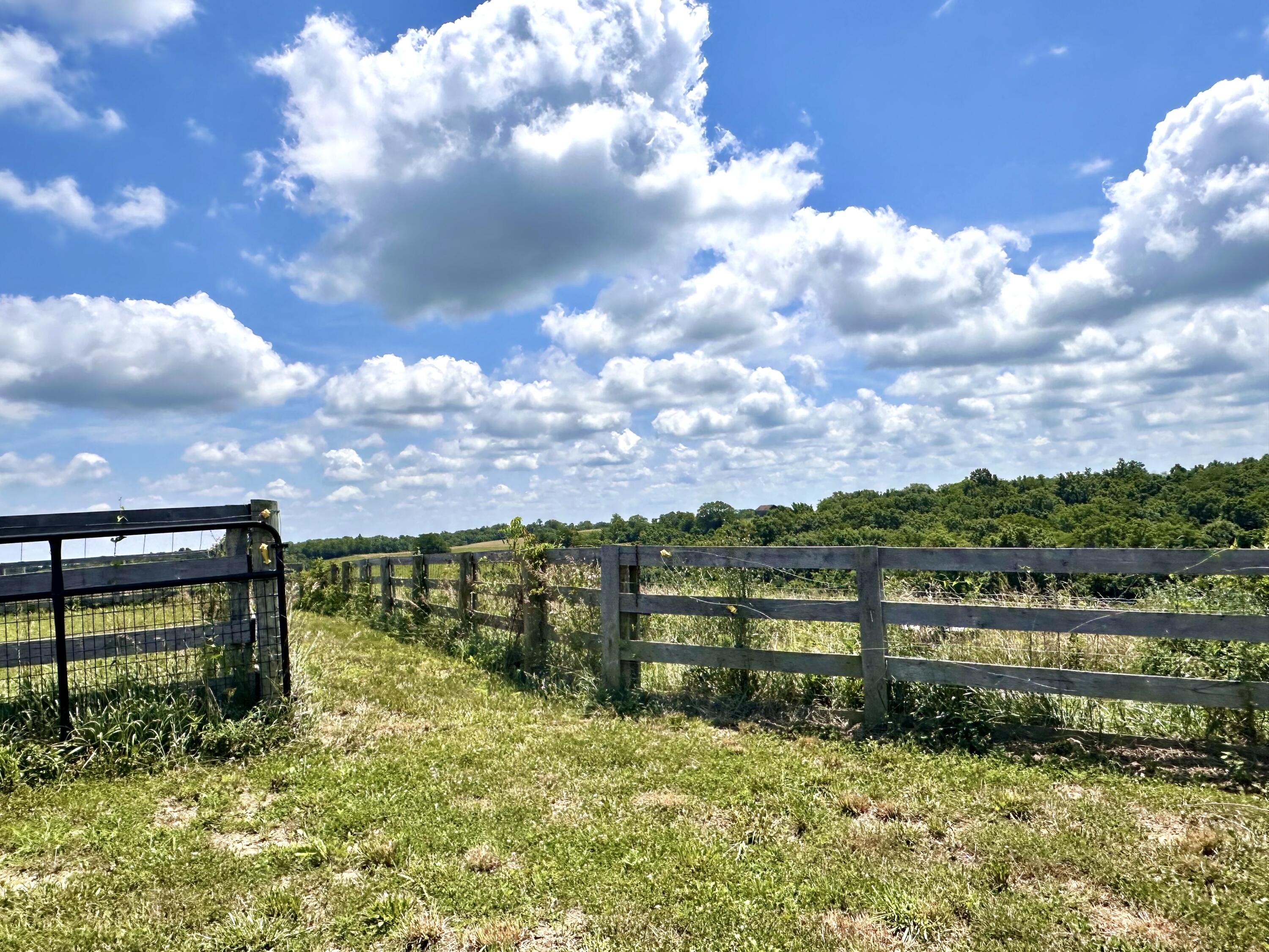 1502 Cane Run Road Property Photo 84