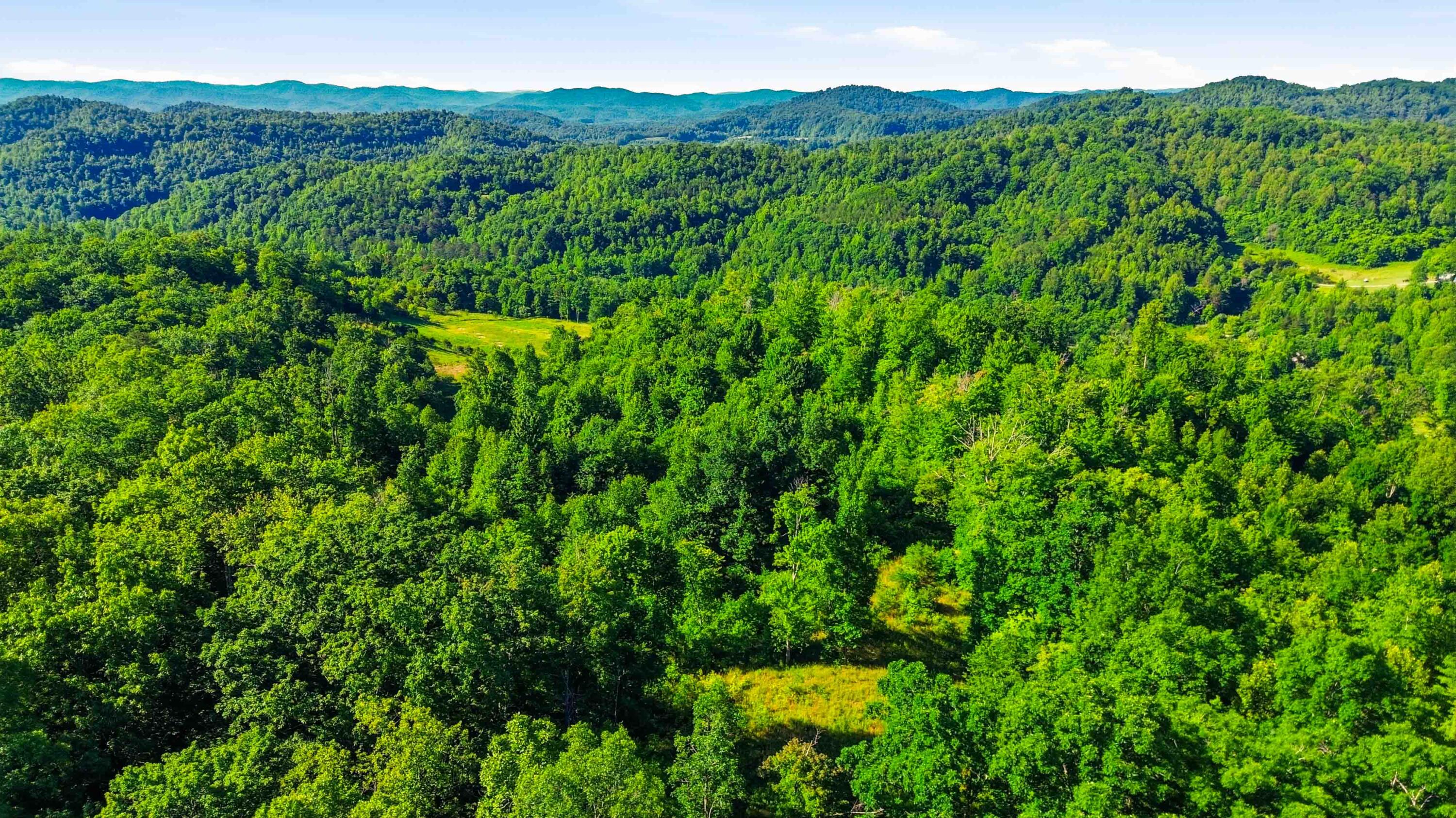 4664 Maple Creek Road Property Photo 63