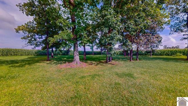 4214 Byars Road Property Photo 11