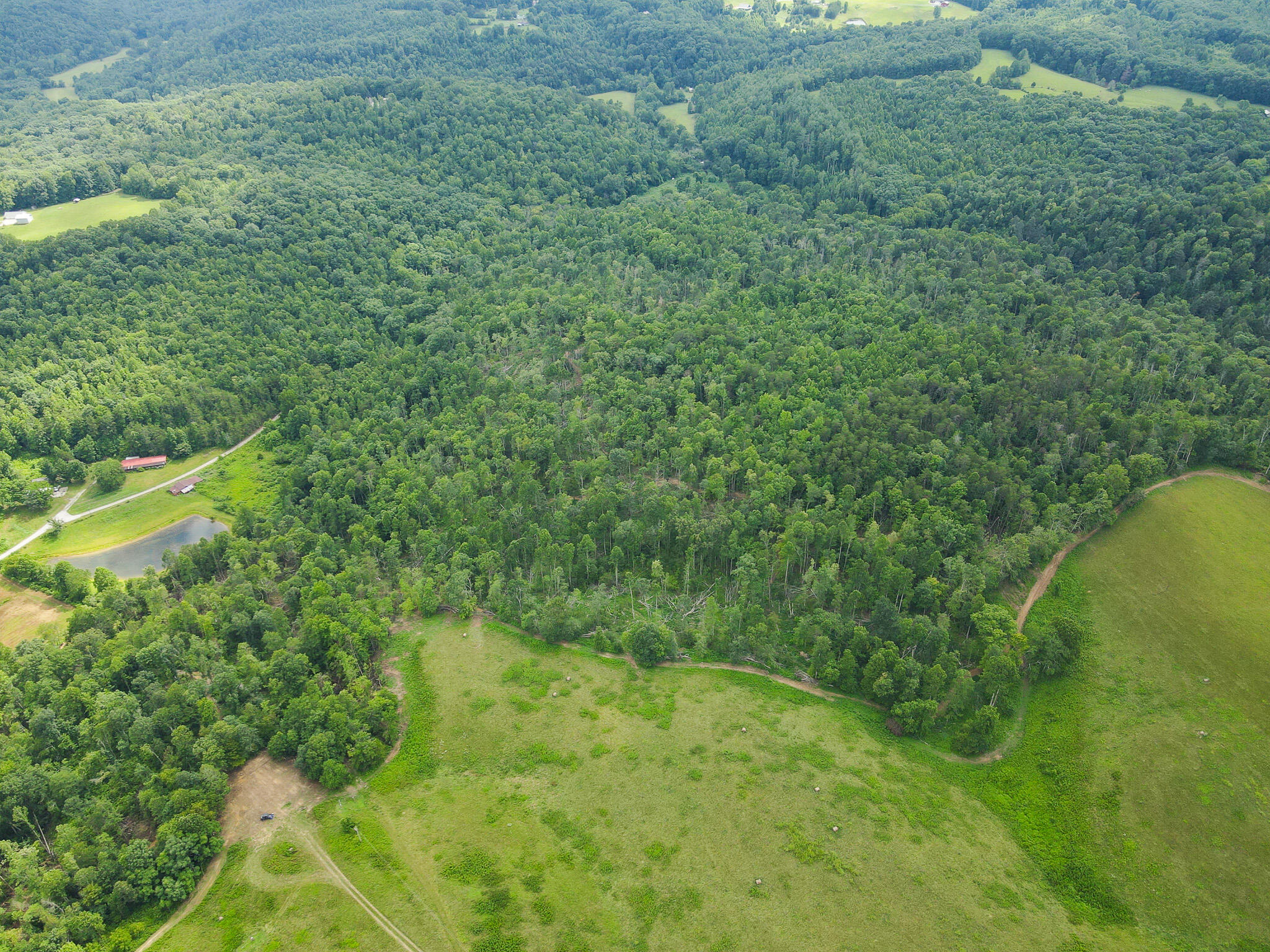 0000 Old Mount Zion Road Property Photo 15