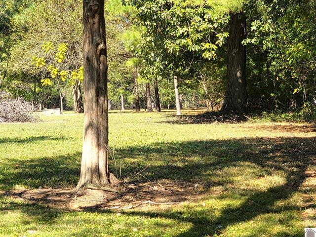5609 Cairo Road Property Photo 2