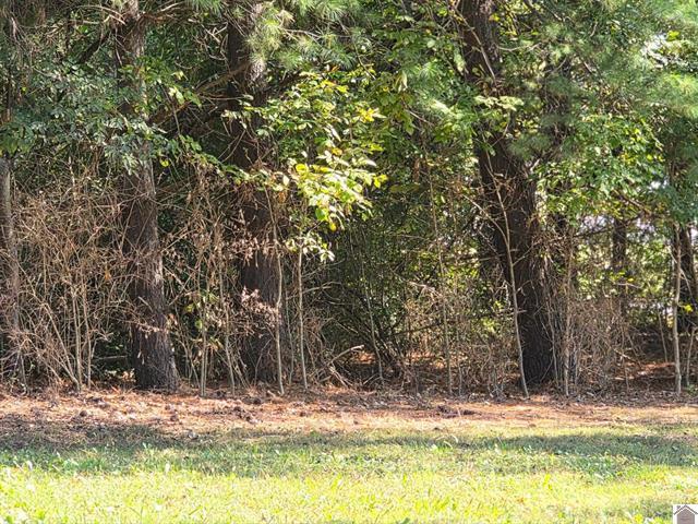 5609 Cairo Road Property Photo 3