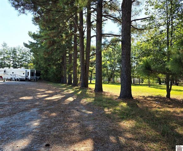 5609 Cairo Road Property Photo 5