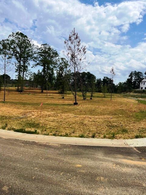 225 Hidden Valley Drive Property Photo 3