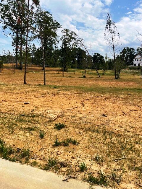 225 Hidden Valley Drive Property Photo 4