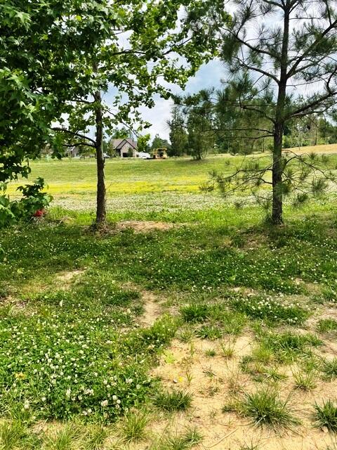225 Hidden Valley Drive Property Photo 7