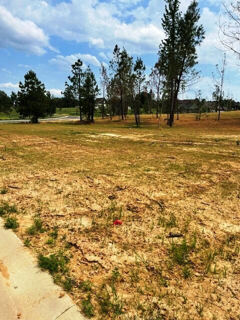 305 Hidden Valley Drive Property Photo 3