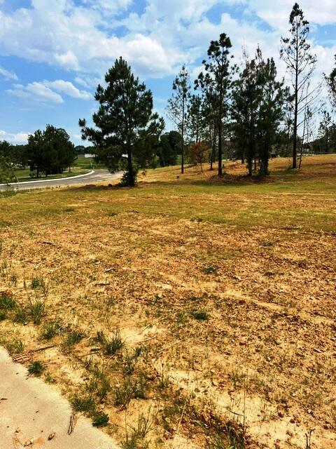 305 Hidden Valley Drive Property Photo 4