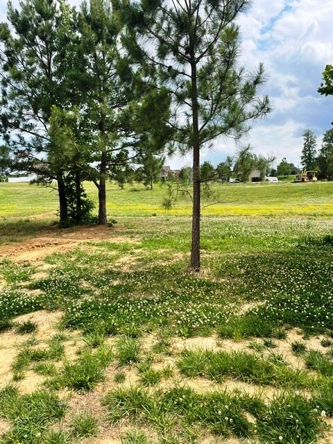 305 Hidden Valley Drive Property Photo 8