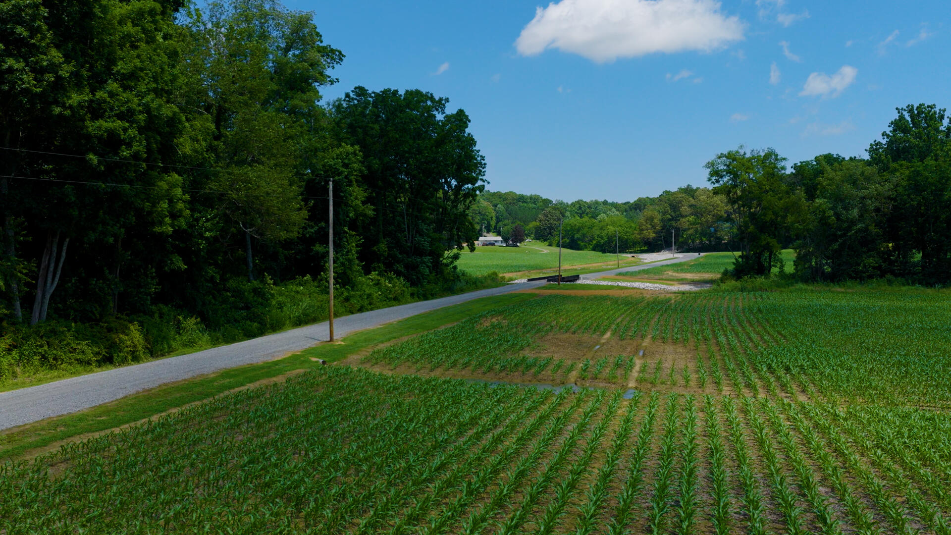 5279 E State Line Road Property Photo 69