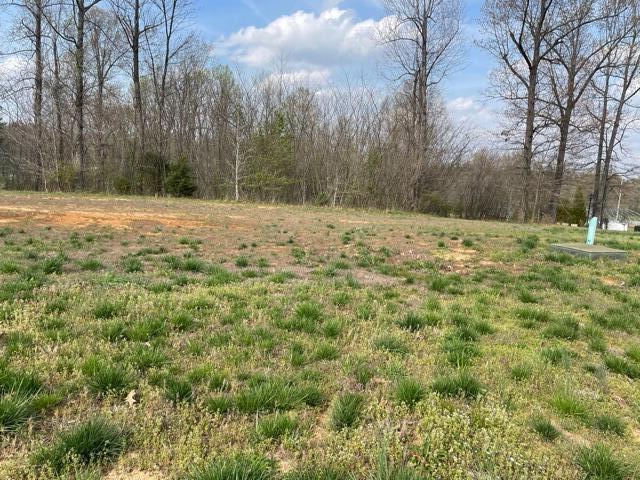 135 Low Ridge Lane Property Photo 9