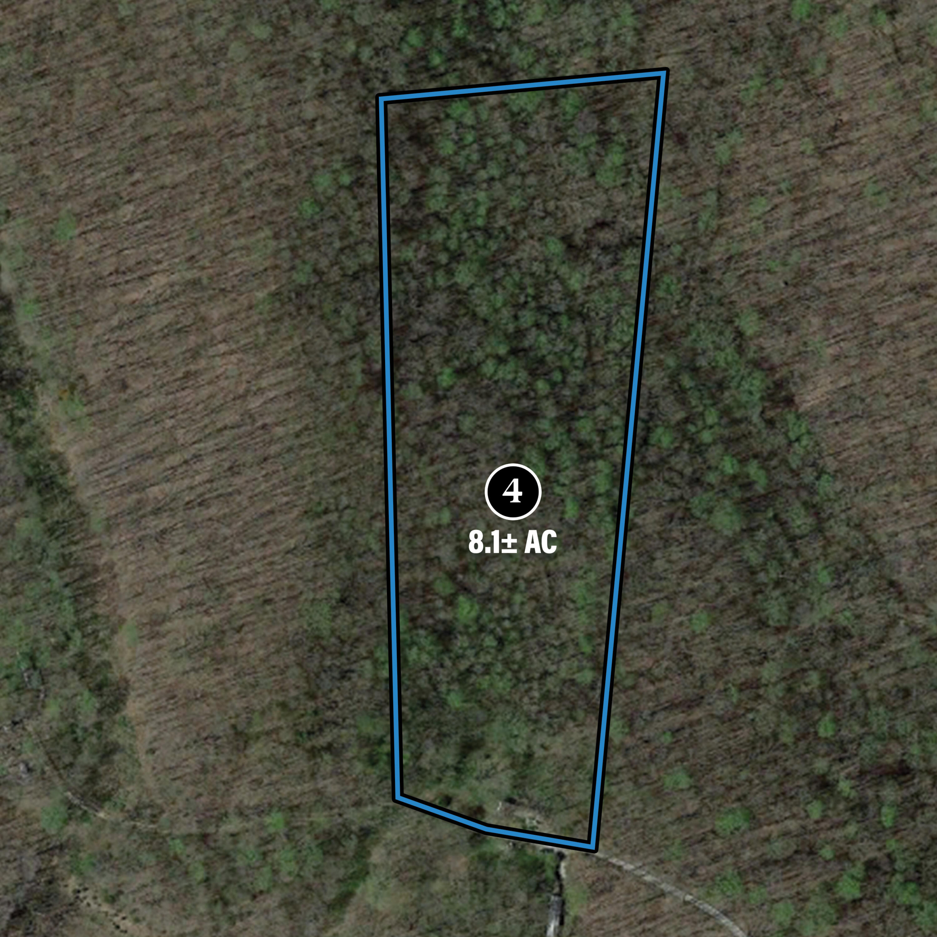457 Pitcher Road Property Photo 6