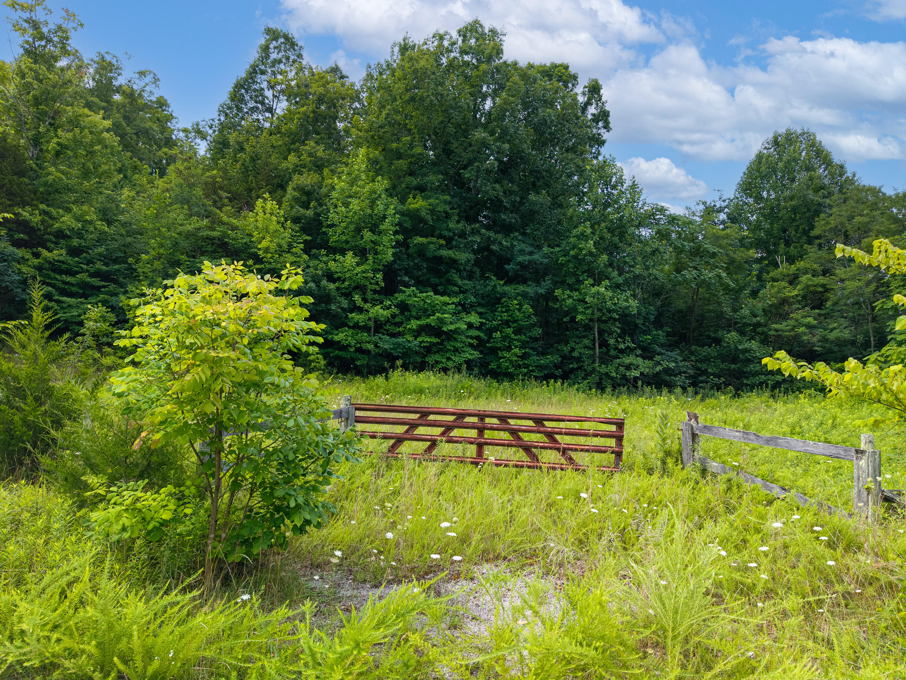 0 Shepperd Lane Property Photo 4