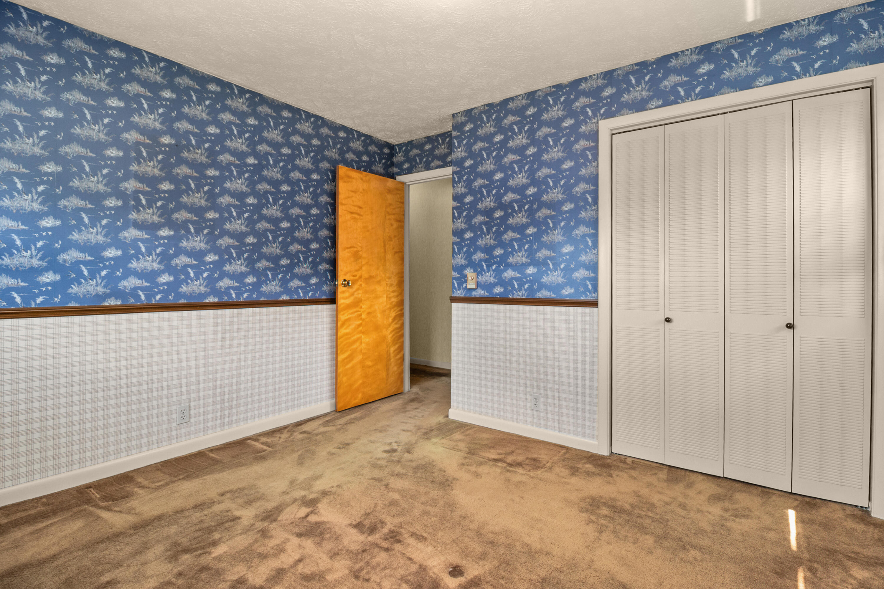 204 Johnson Addition Property Photo 29