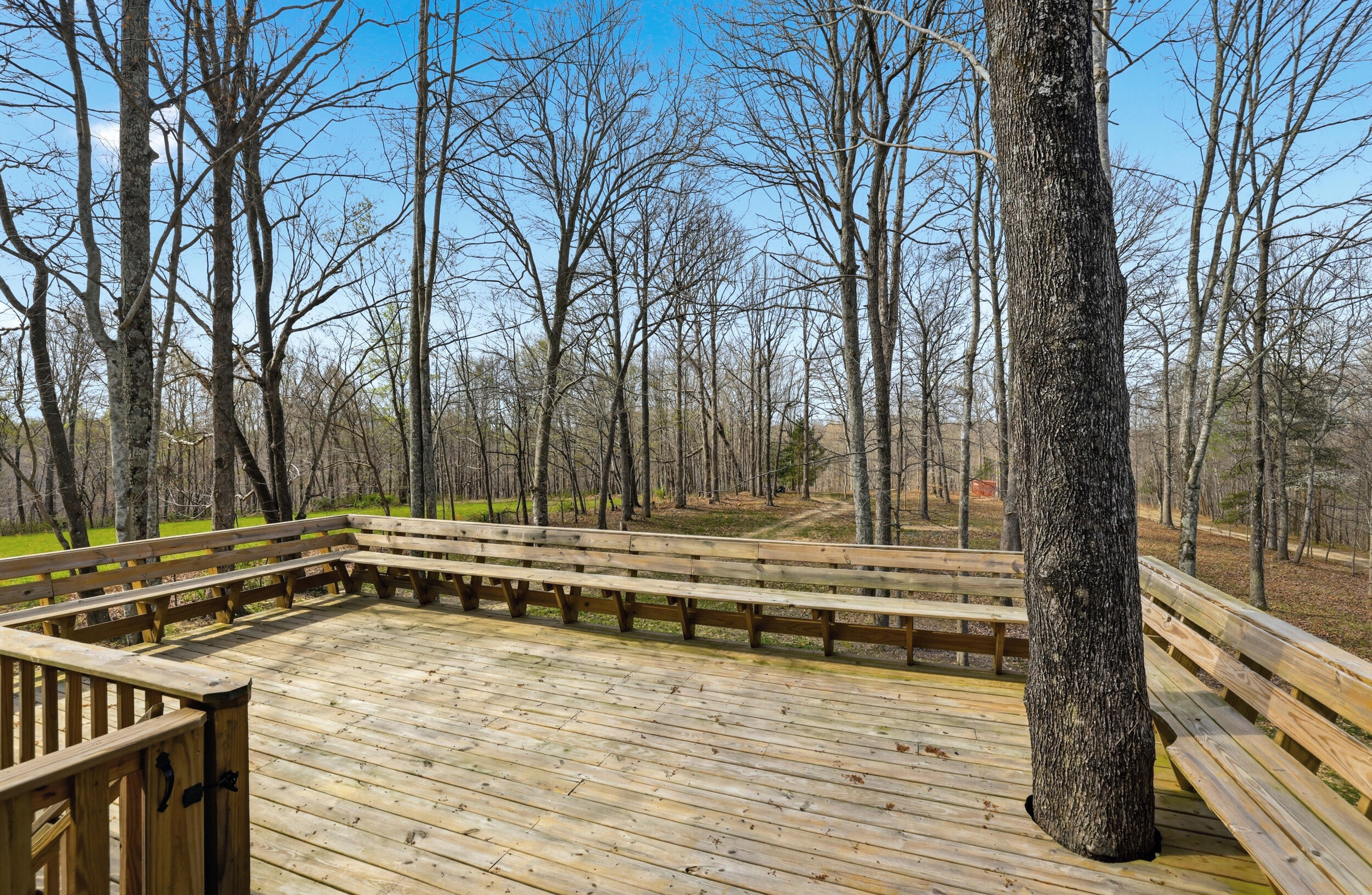 376 Shugars Hill Road Property Photo 4