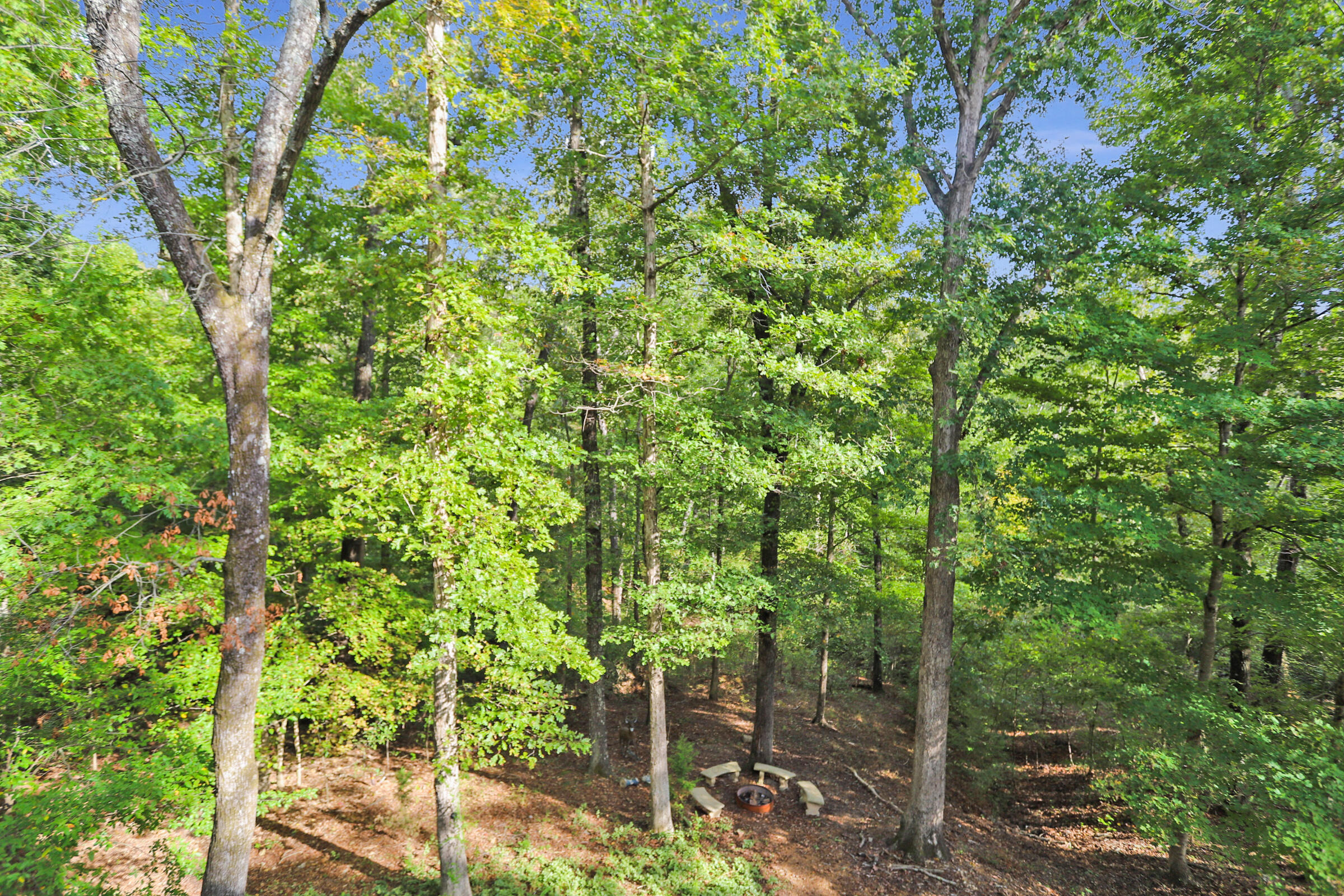 1386 Boatwright Trail Property Photo 4