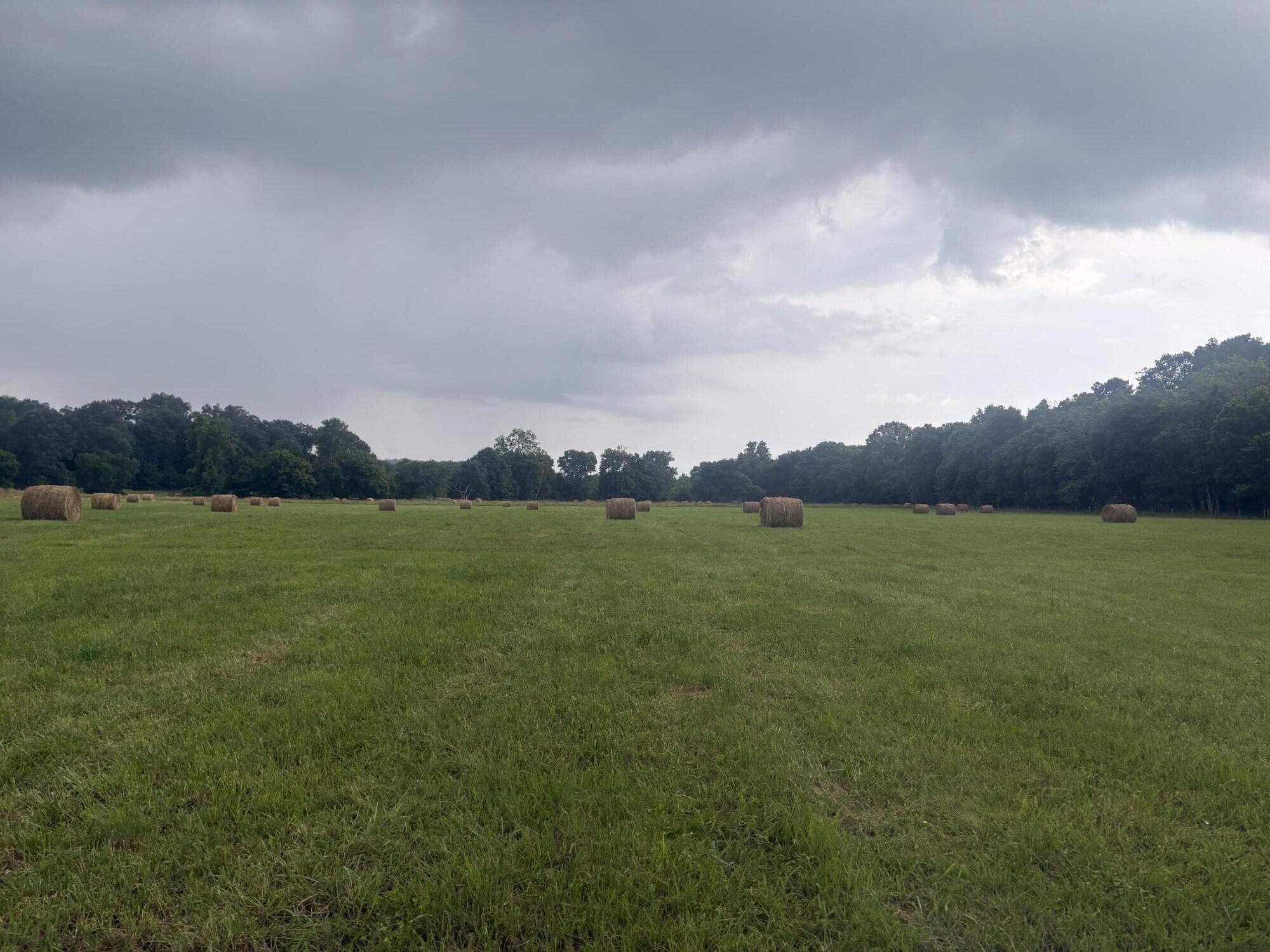 107 Hall Cemetery Road Property Photo 2