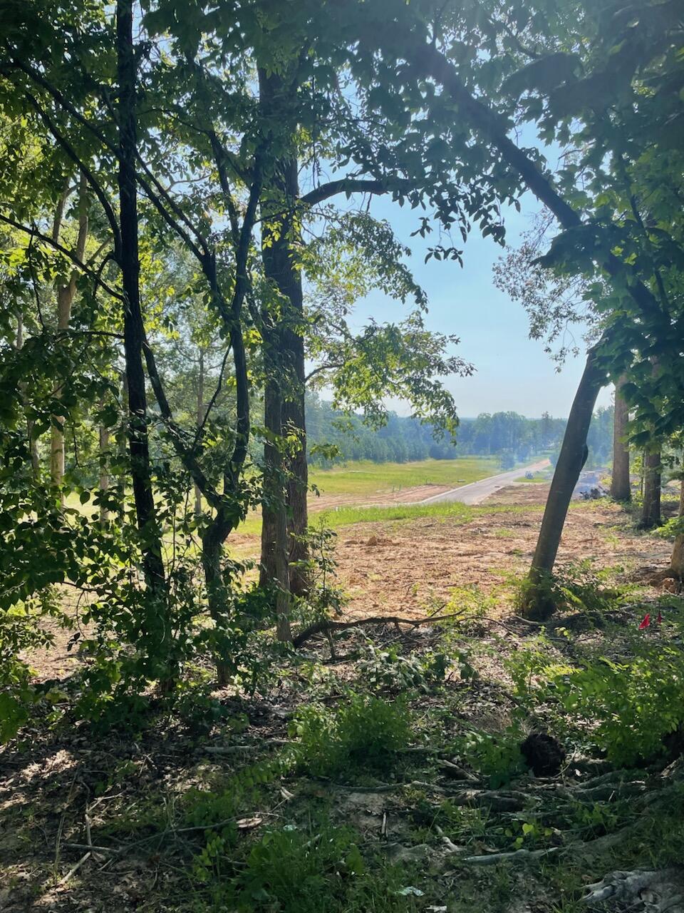 250 Forest Ridge Drive Property Photo 1