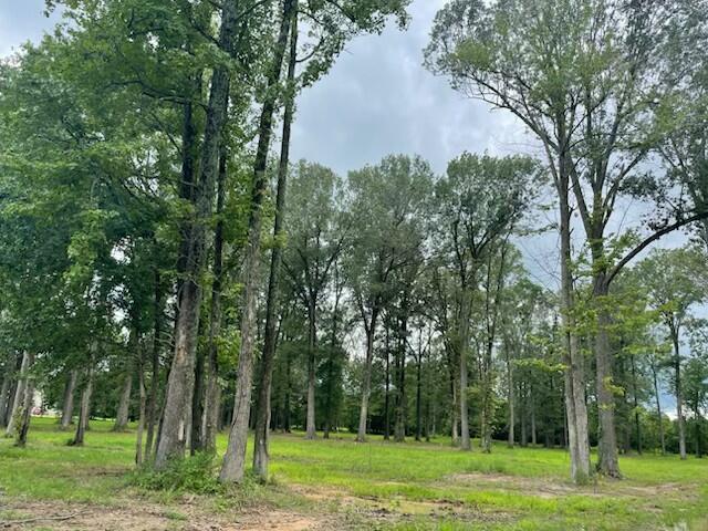 2620 Allison Drive Property Photo 1