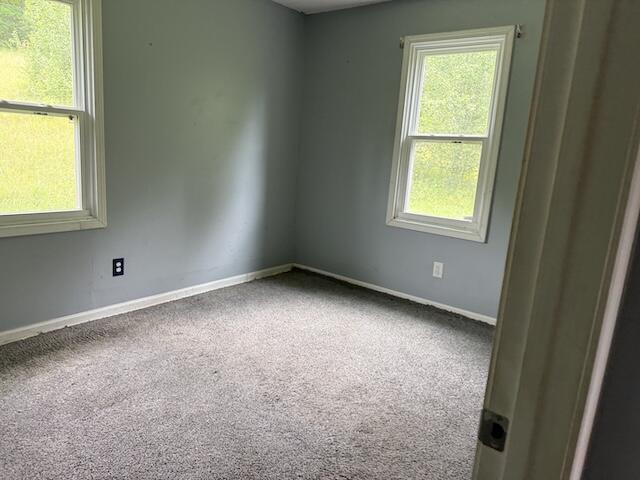 10705 Forkland Road Property Photo 14
