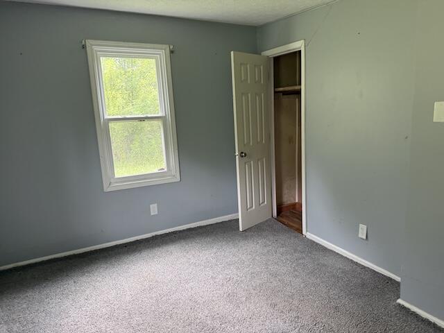 10705 Forkland Road Property Photo 15