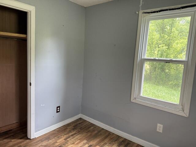 10705 Forkland Road Property Photo 17
