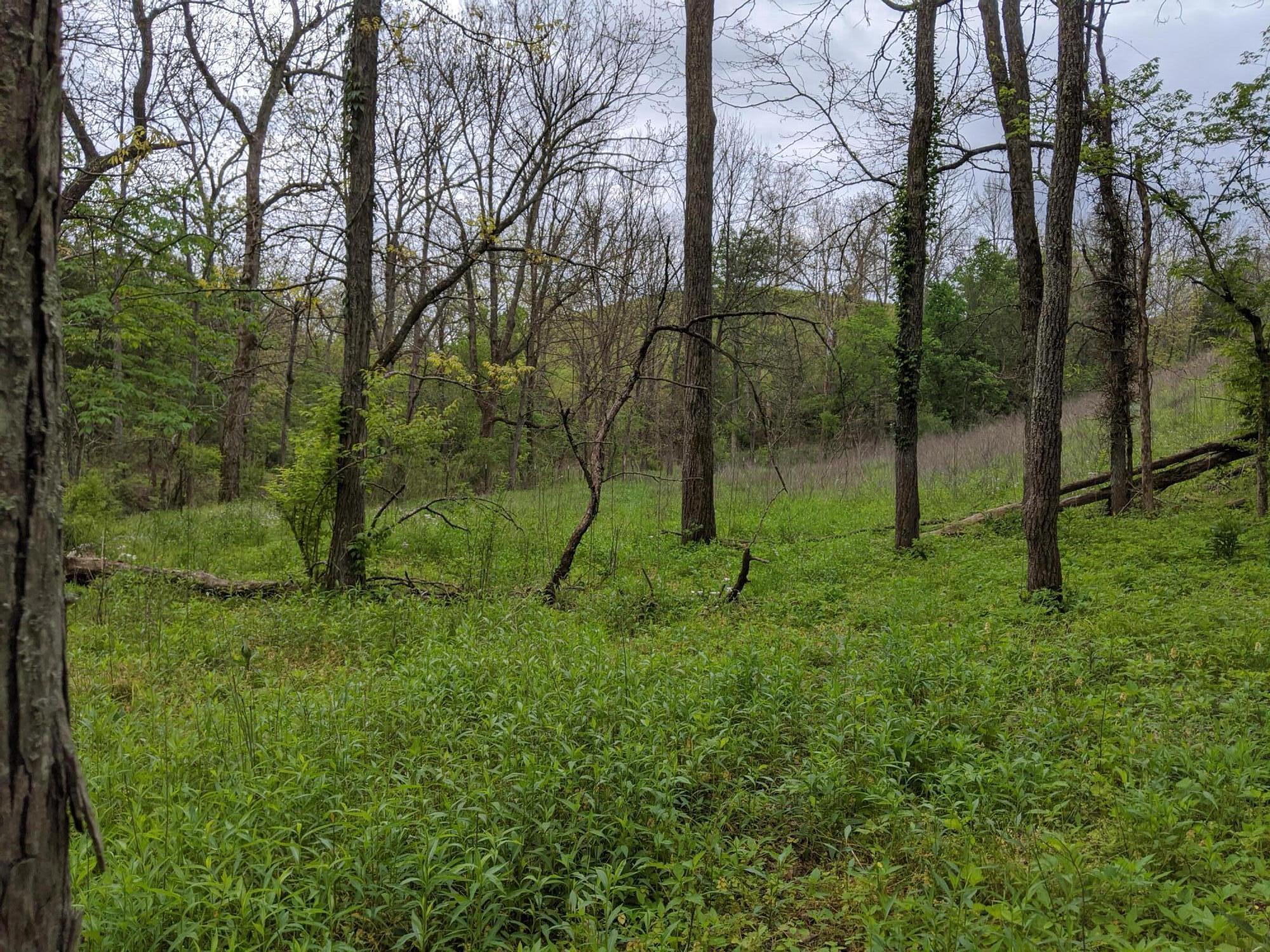 3043 Poosey Ridge Road Property Photo 46
