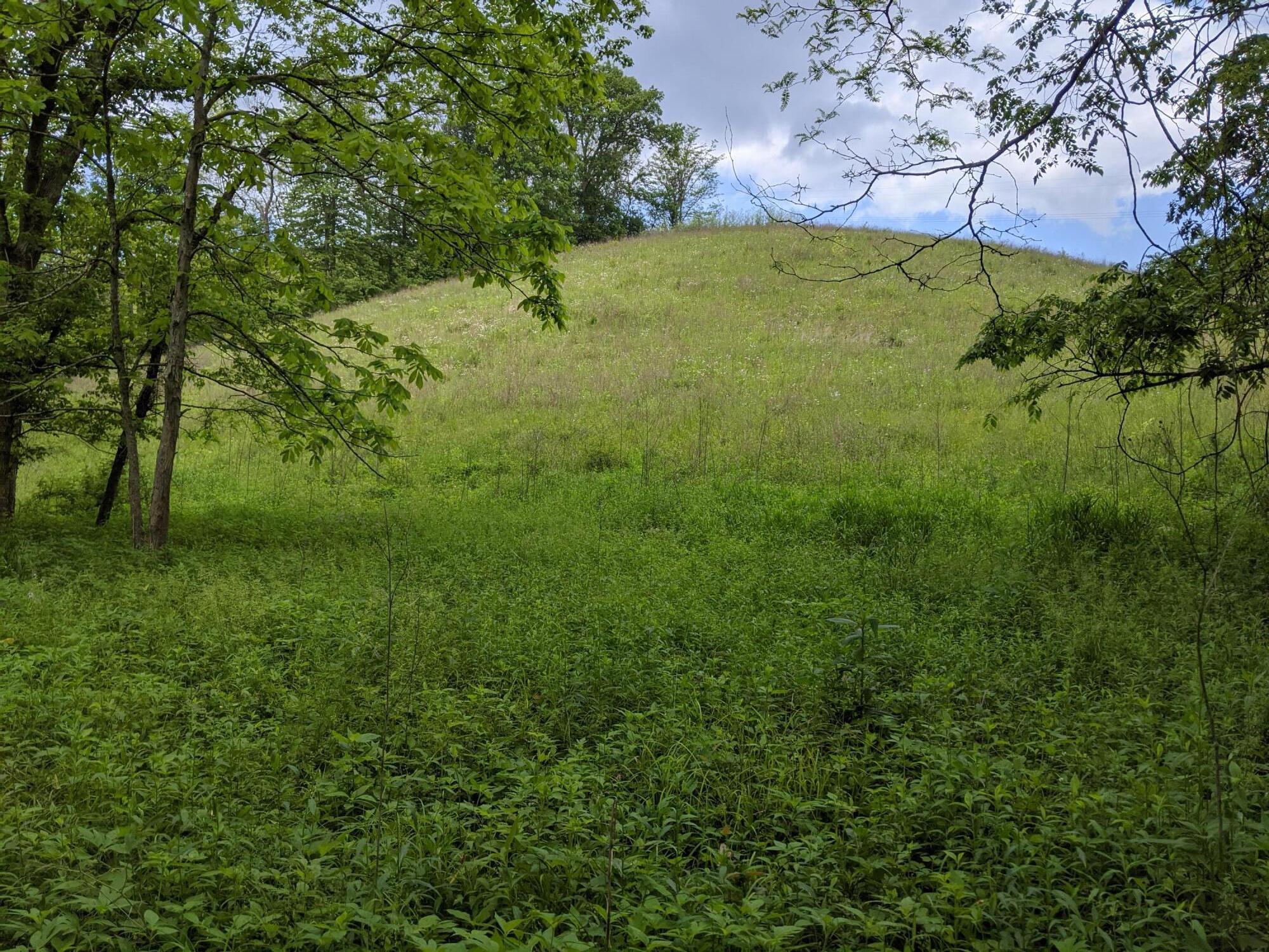 3043 Poosey Ridge Road Property Photo 47