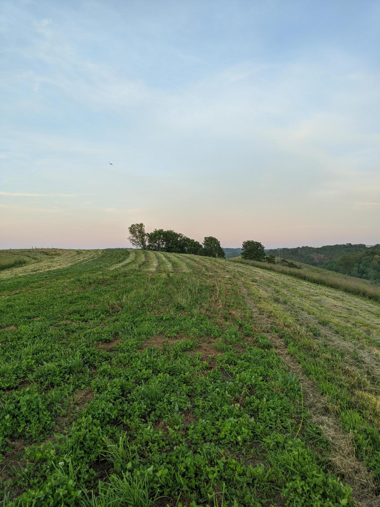 3043 Poosey Ridge Road Property Photo 48