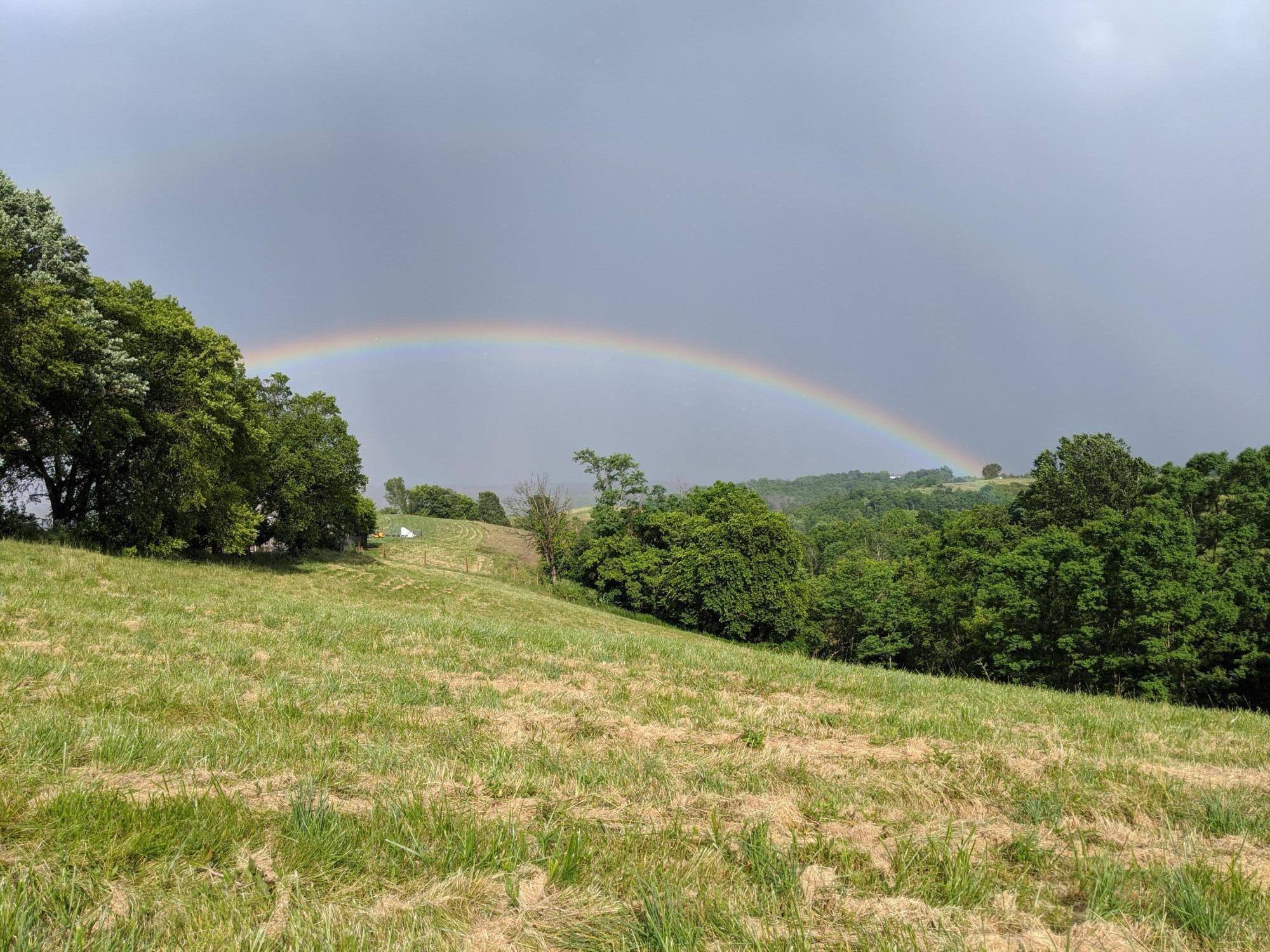 3043 Poosey Ridge Road Property Photo 49