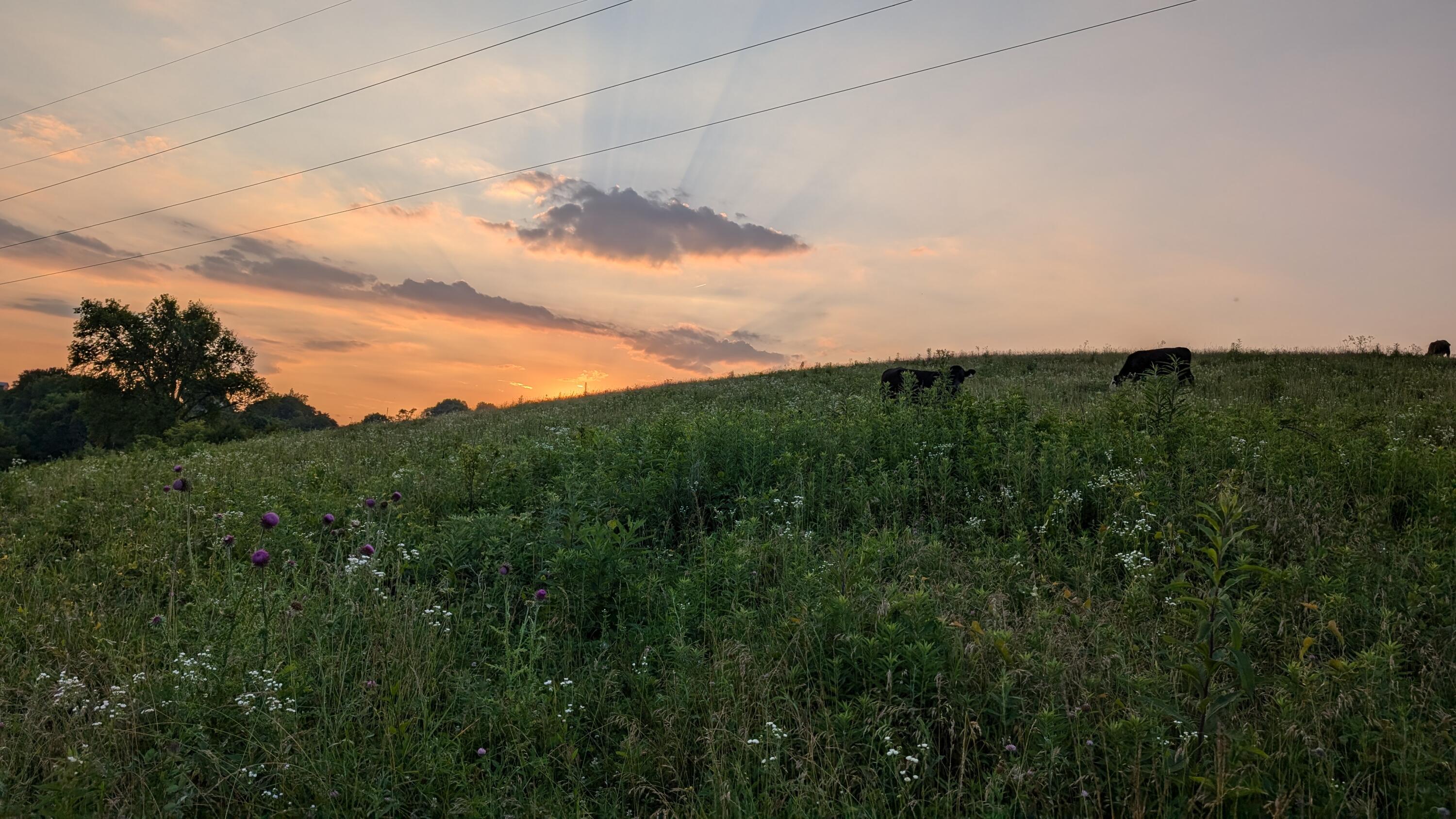 3043 Poosey Ridge Road Property Photo 60