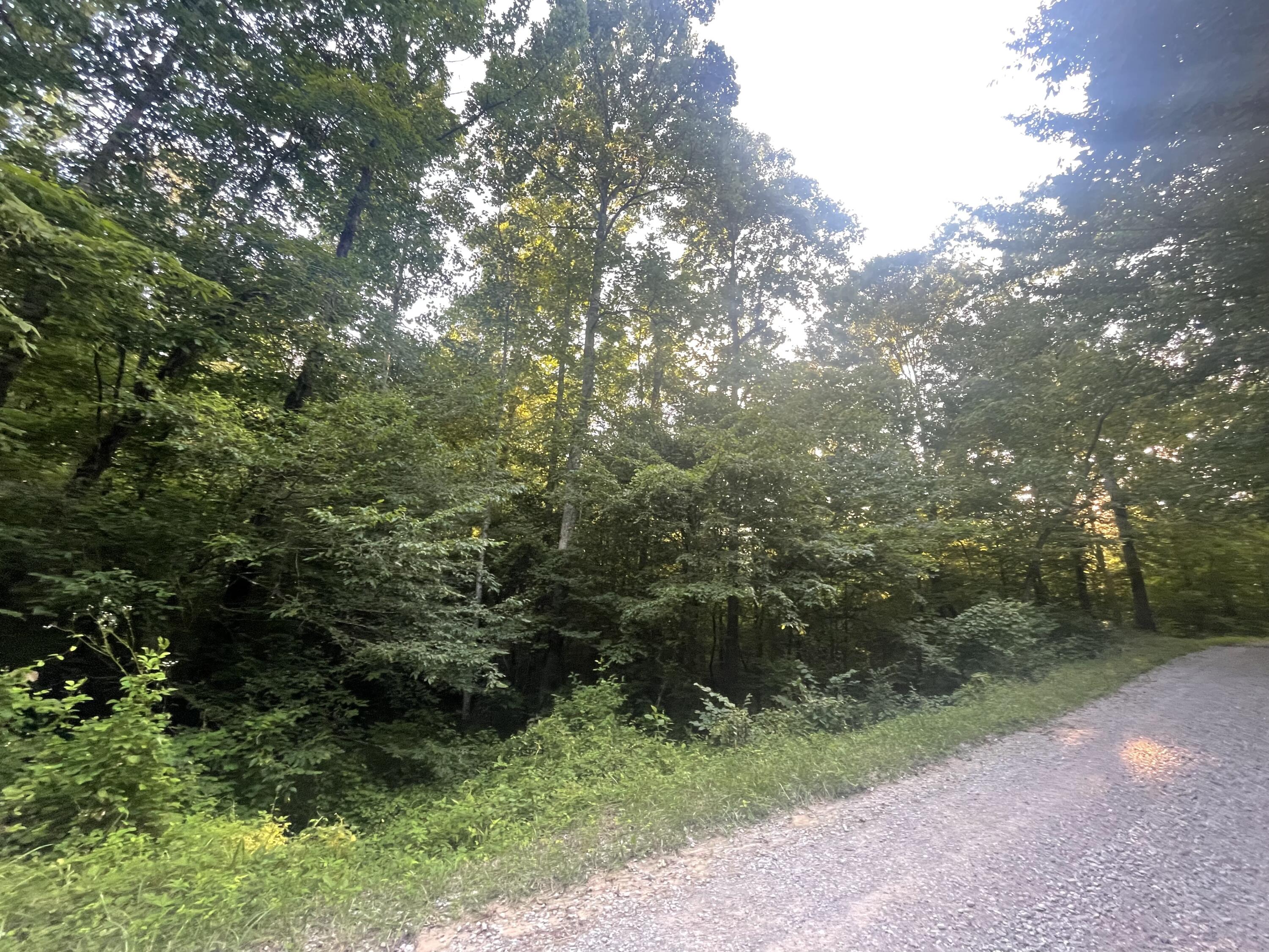 0 Little Rock Creek Road Property Photo 3