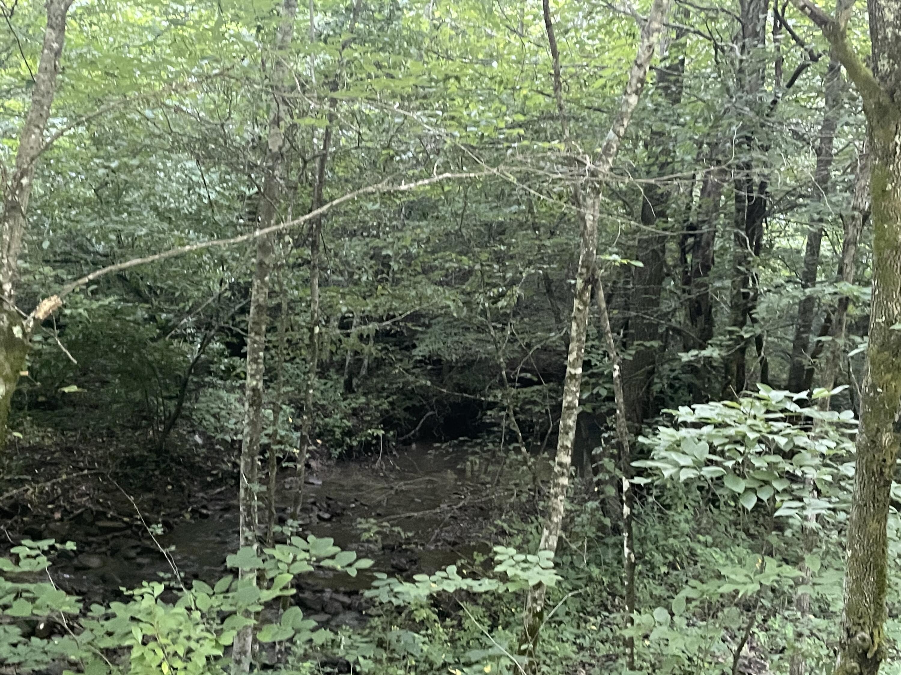 0 Little Rock Creek Road Property Photo 4