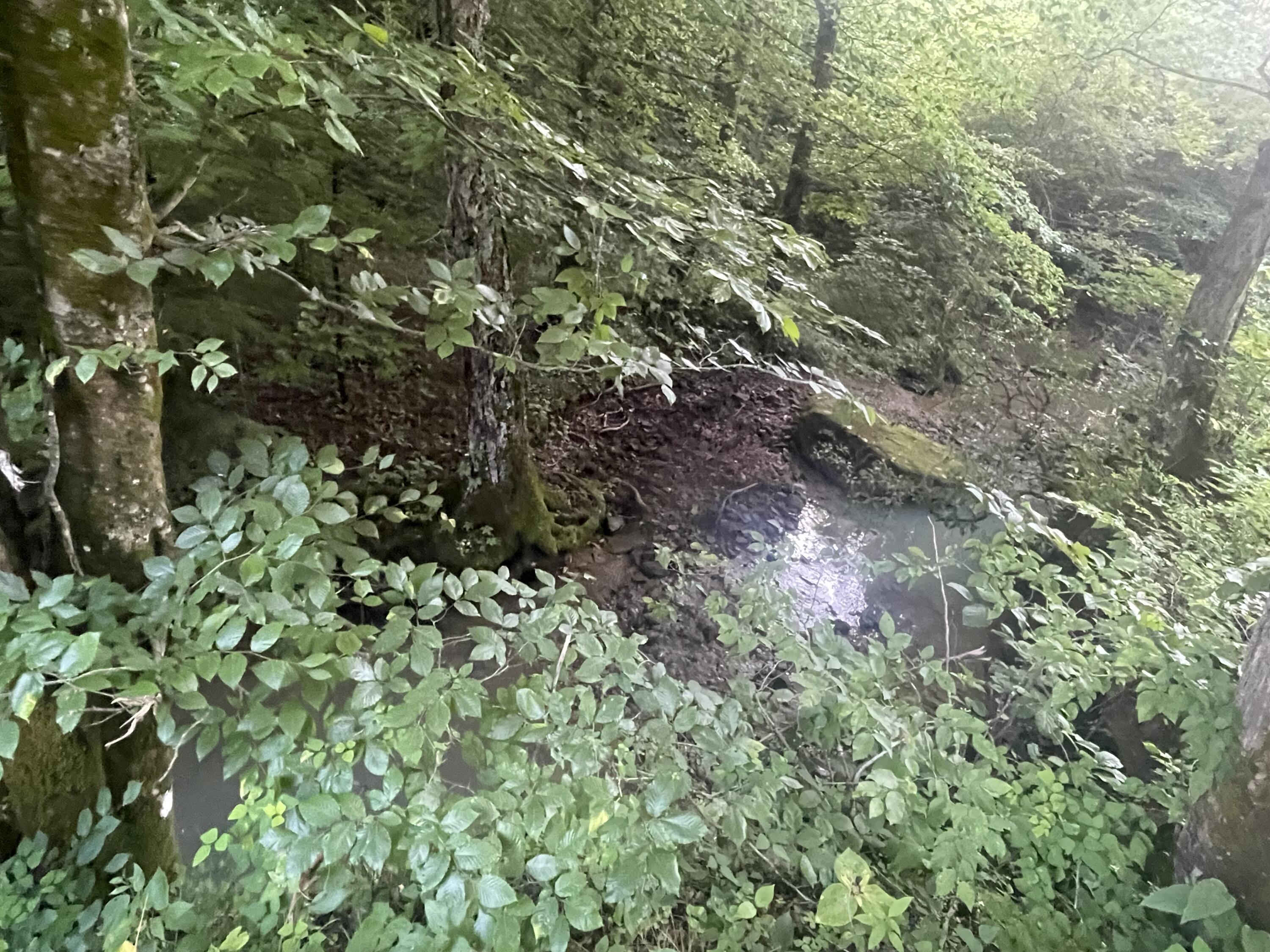 0 Little Rock Creek Road Property Photo 5