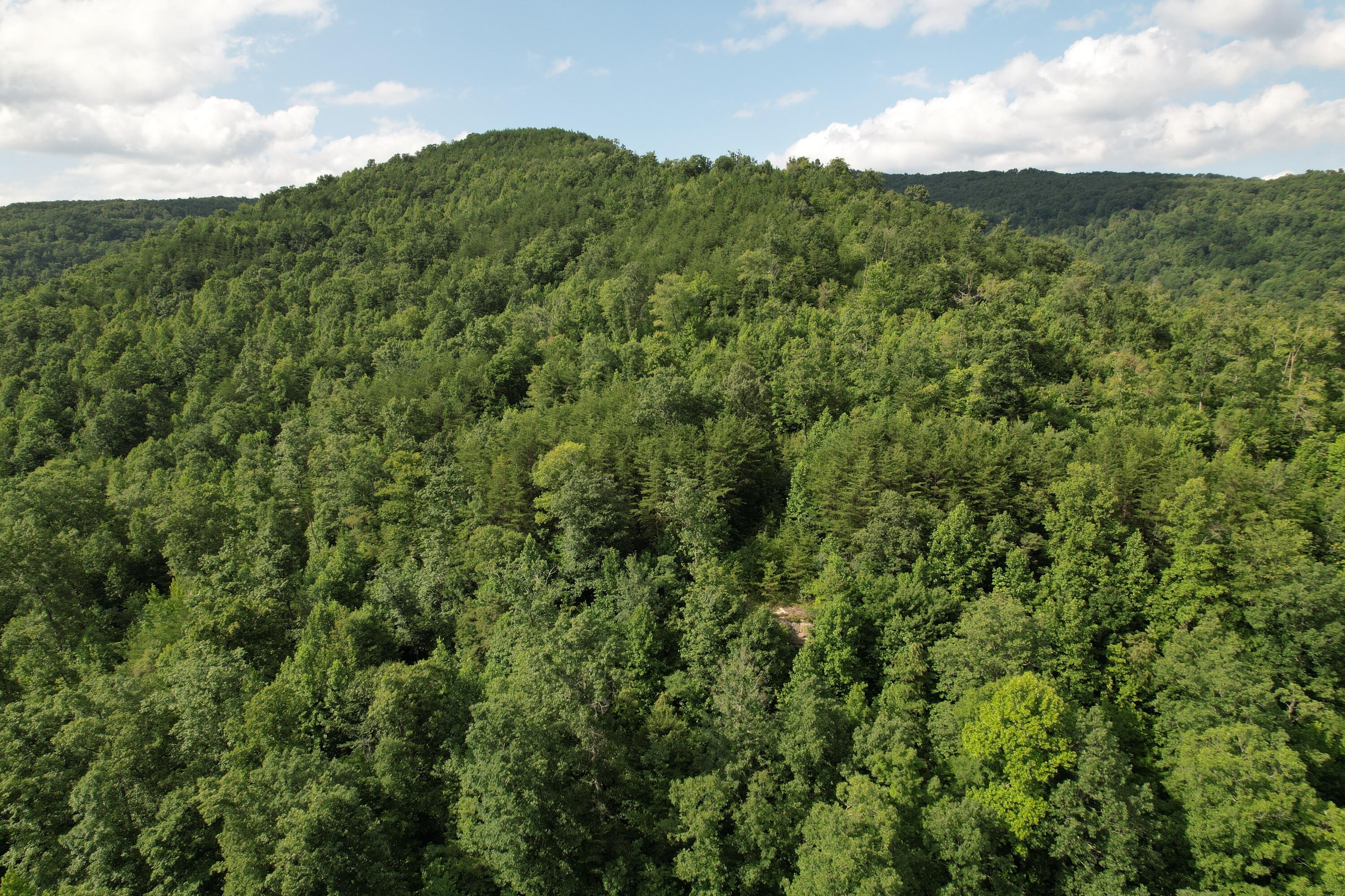 0 Little Rock Creek Road Property Photo 11